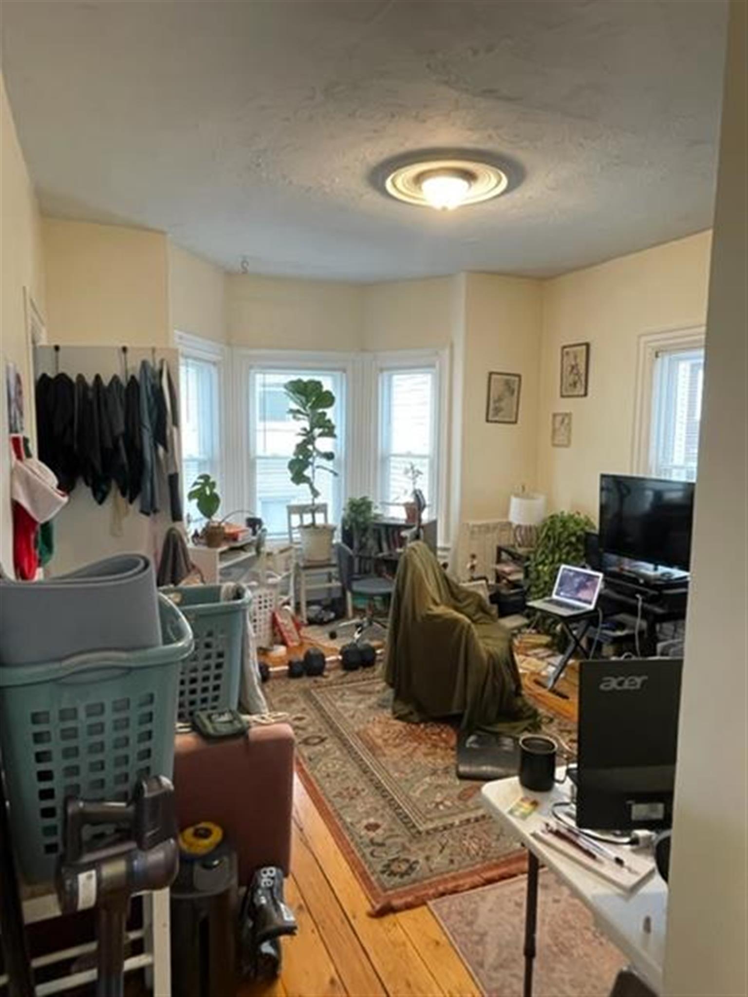 77 Bonair St, Winter Hill