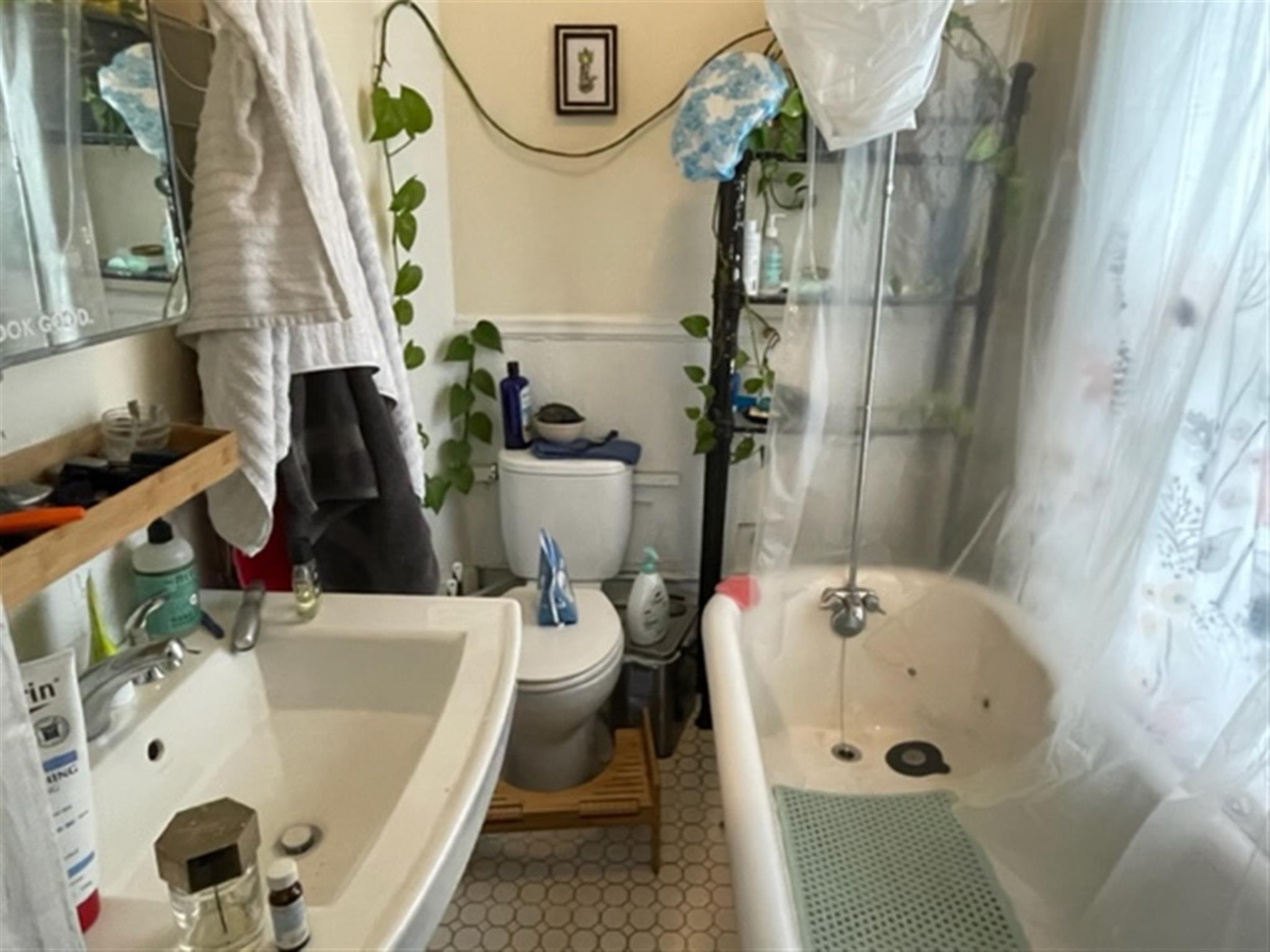 77 Bonair St, Winter Hill