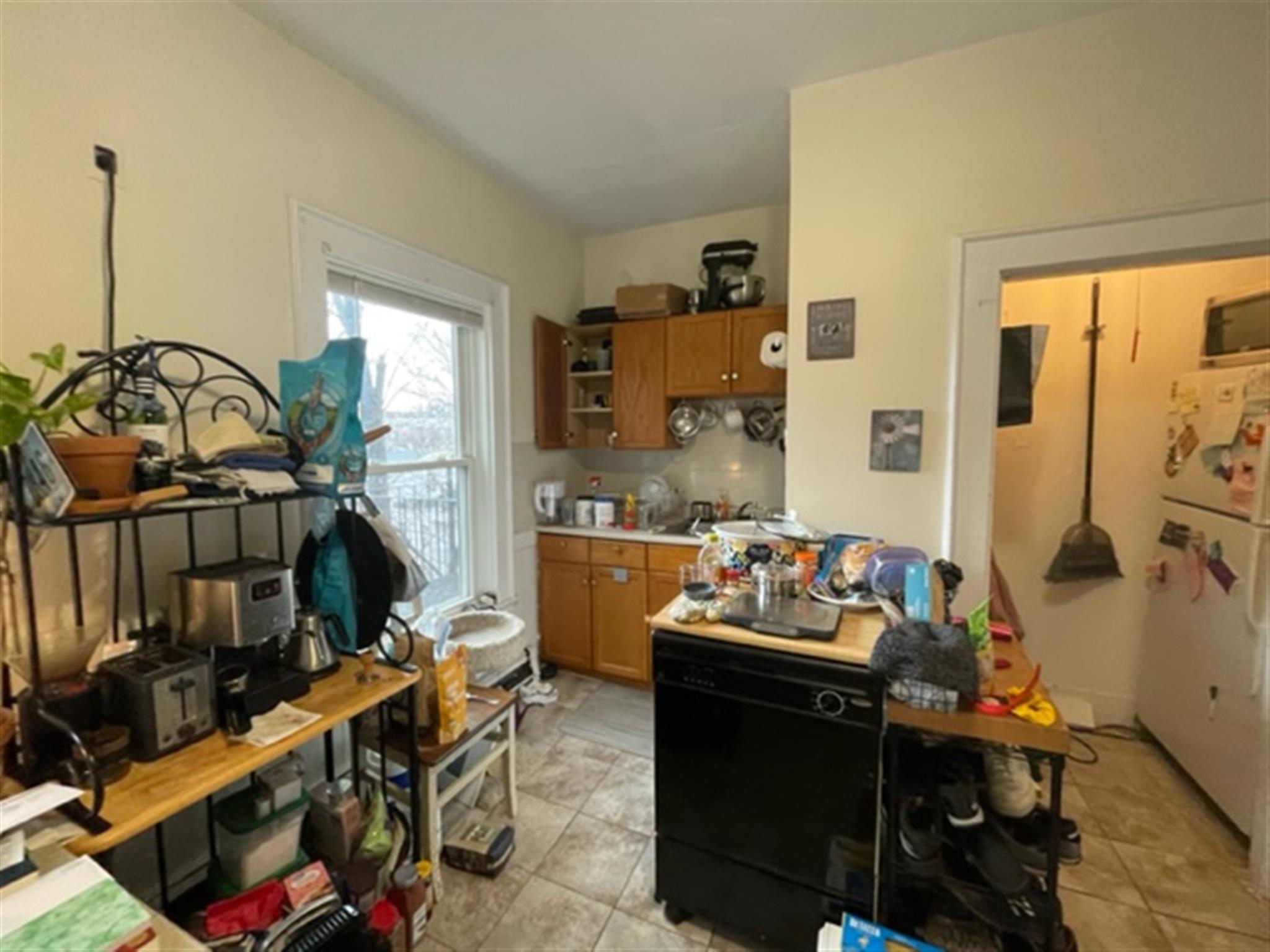 77 Bonair St, Winter Hill