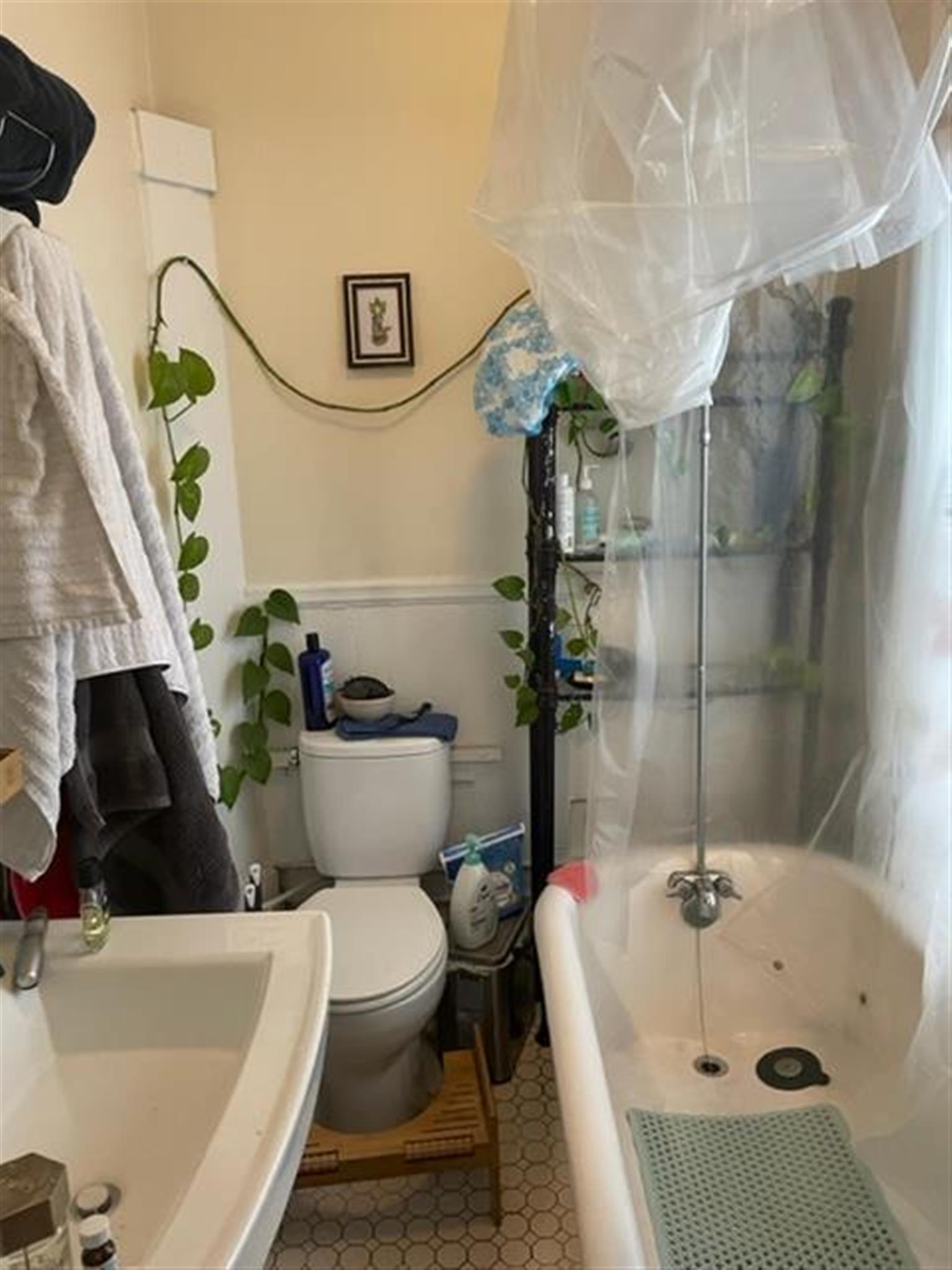 77 Bonair St, Winter Hill