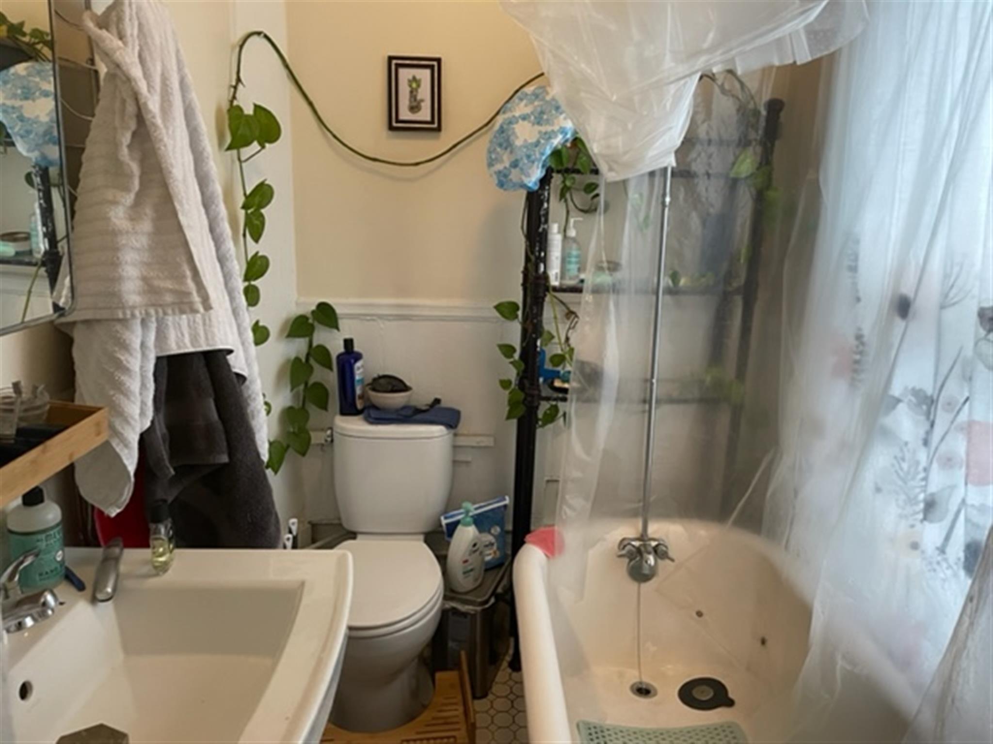 77 Bonair St, Winter Hill