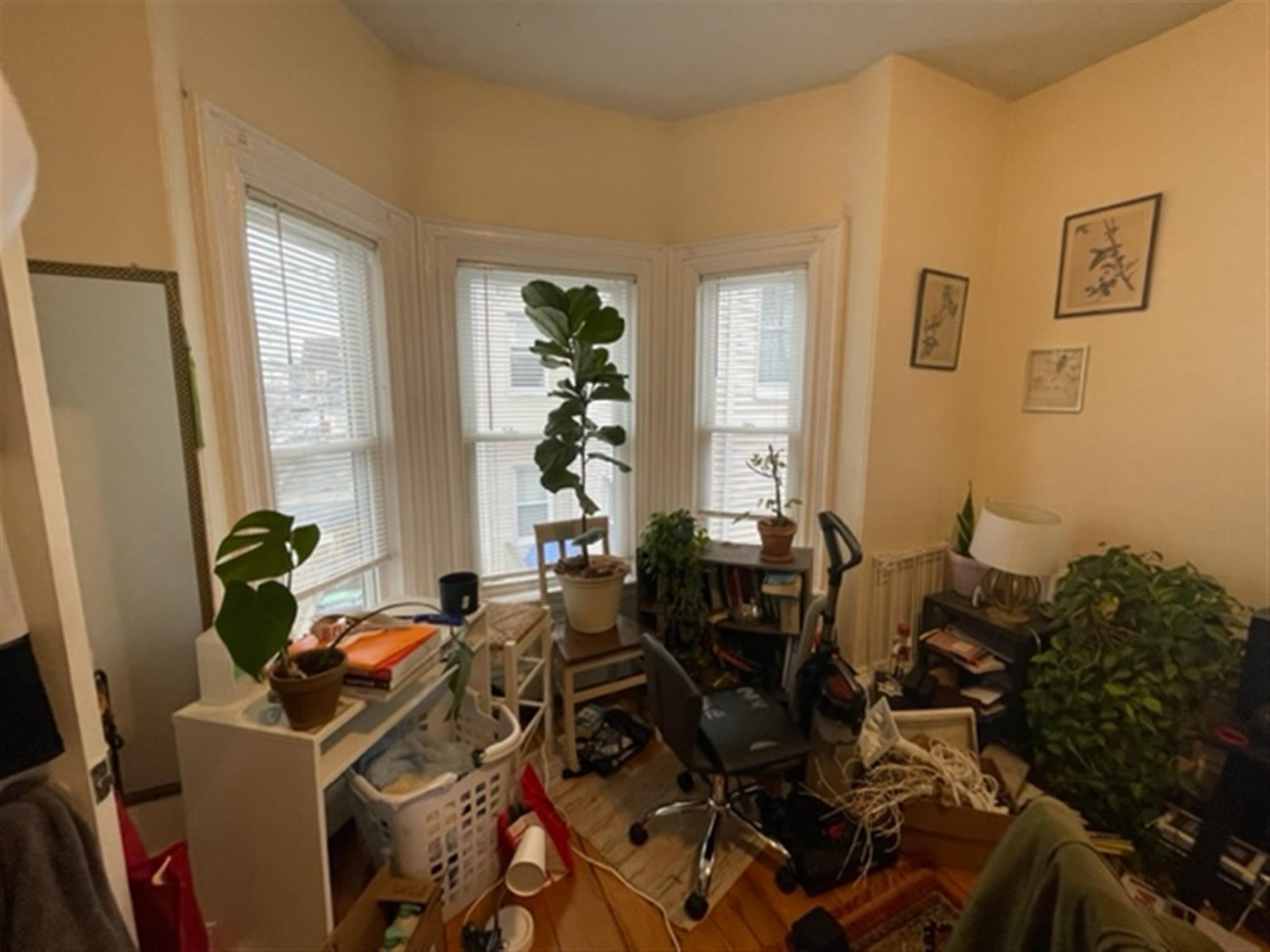 77 Bonair St, Winter Hill