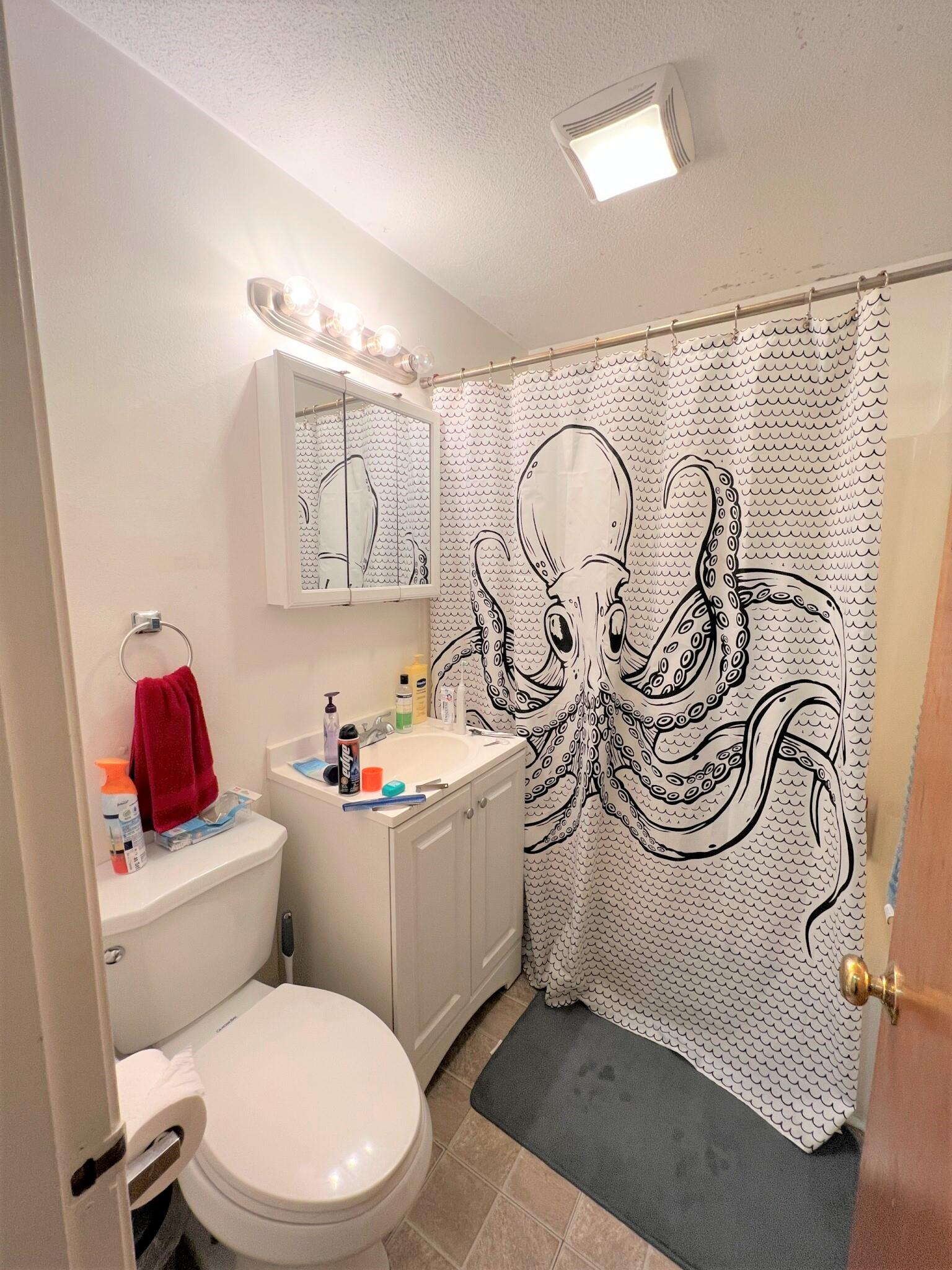 217 Holland St, Davis Square