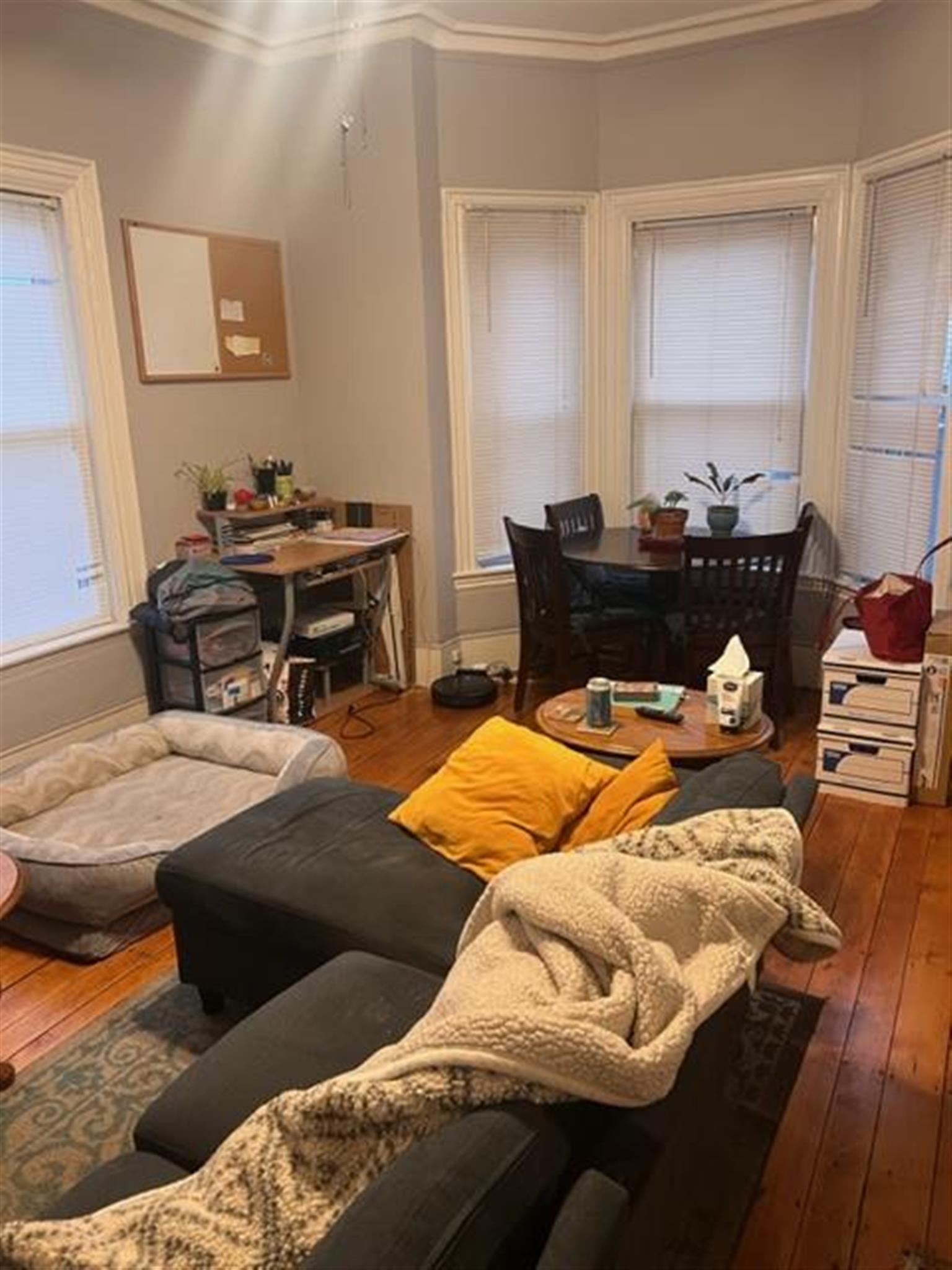 77 Bonair St, East Somerville