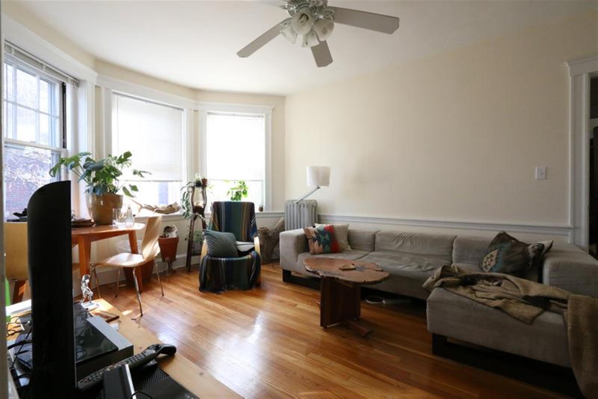 13 Ellery St, Harvard Square