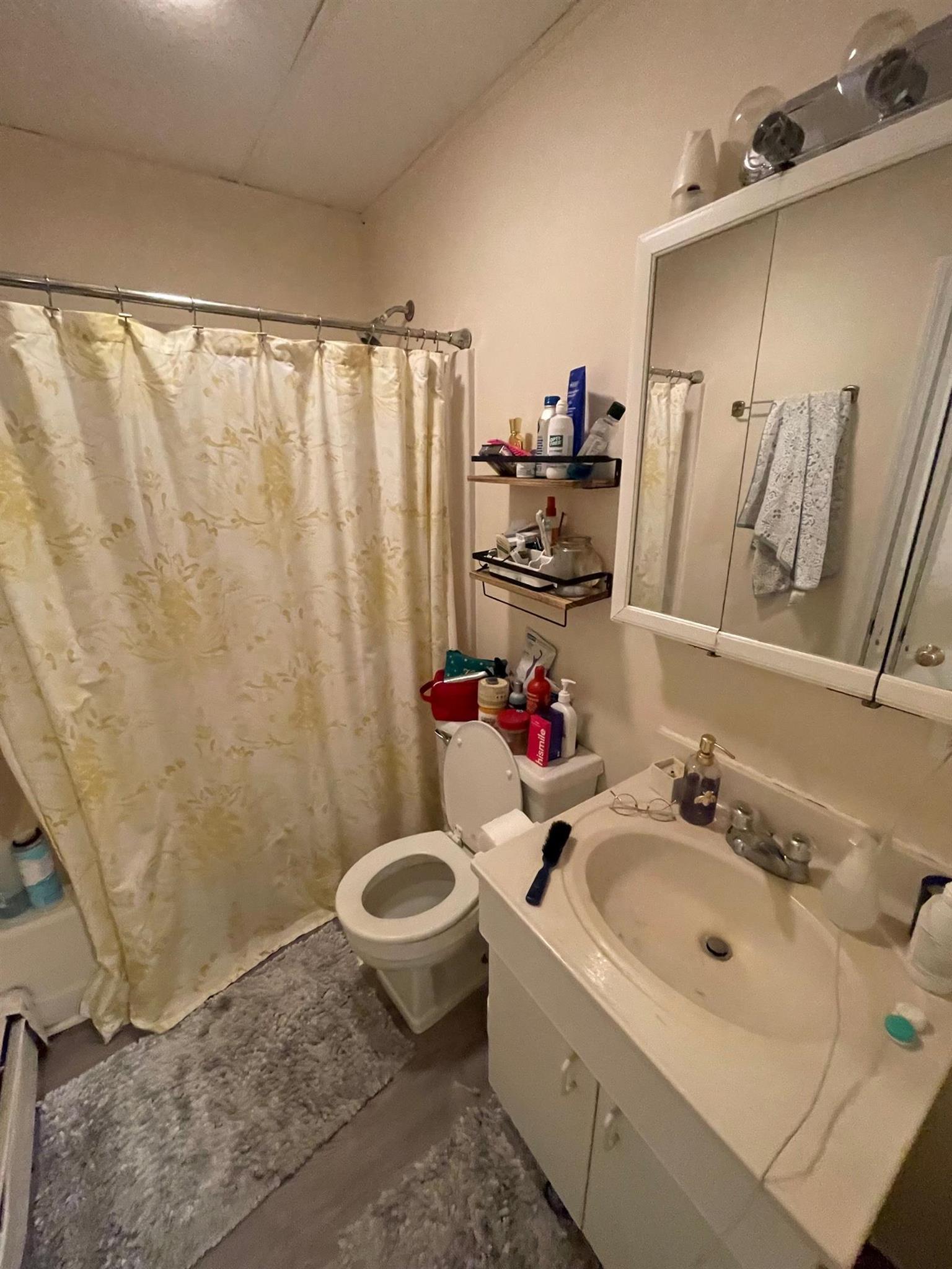 9 Banks St, Harvard Square