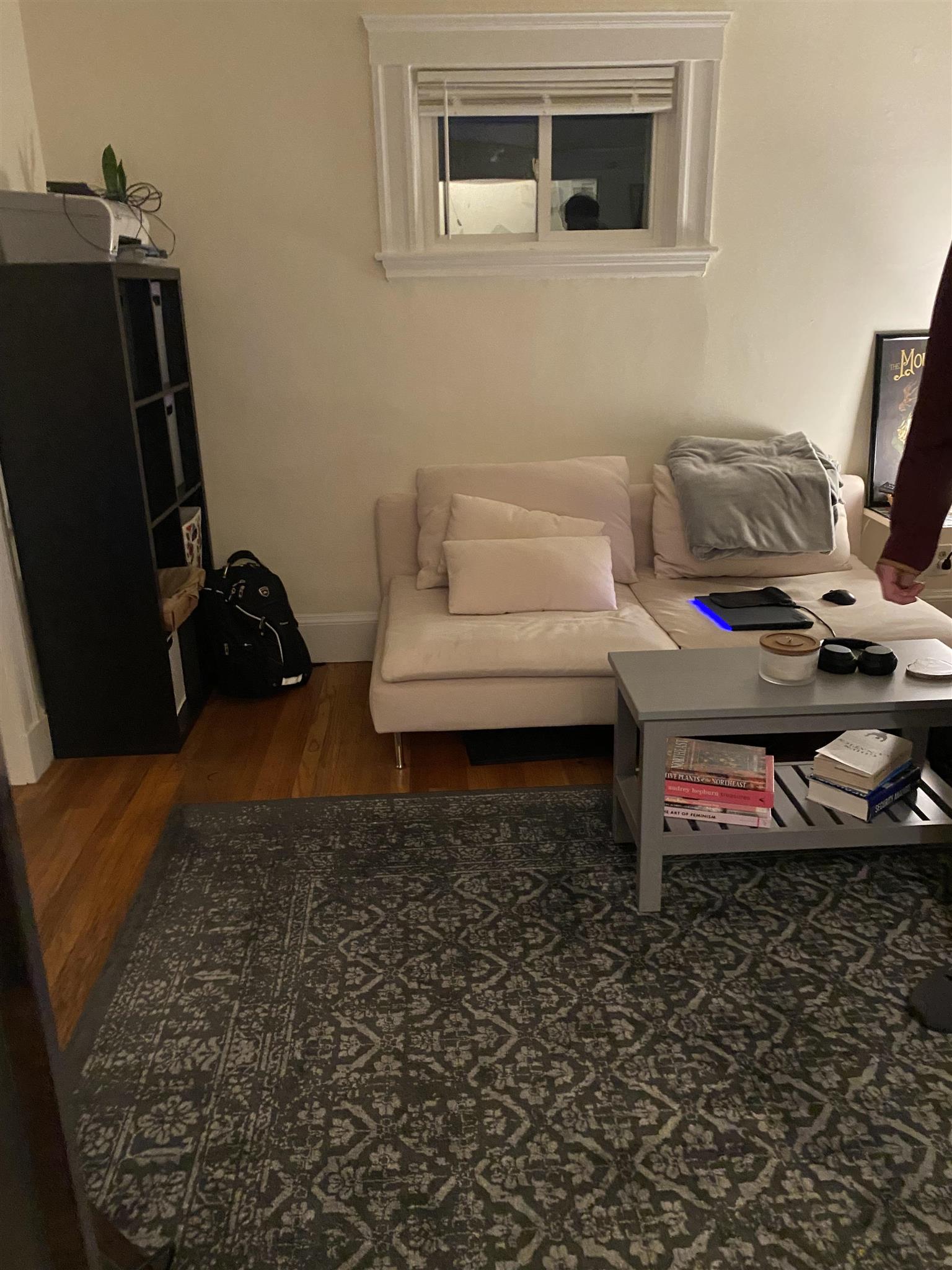 31 Buena Vista Park, Porter Square