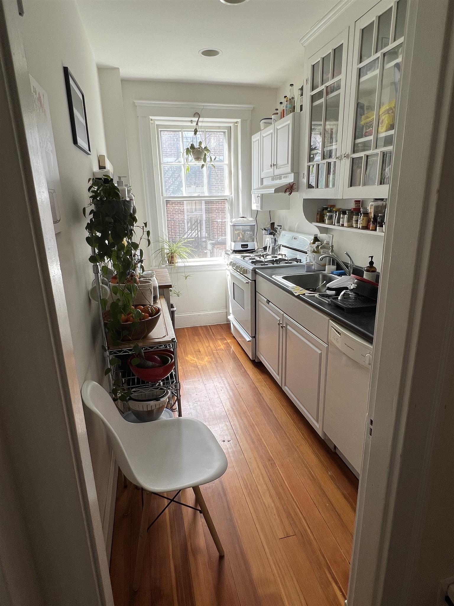 13 Ellery St, Harvard Square