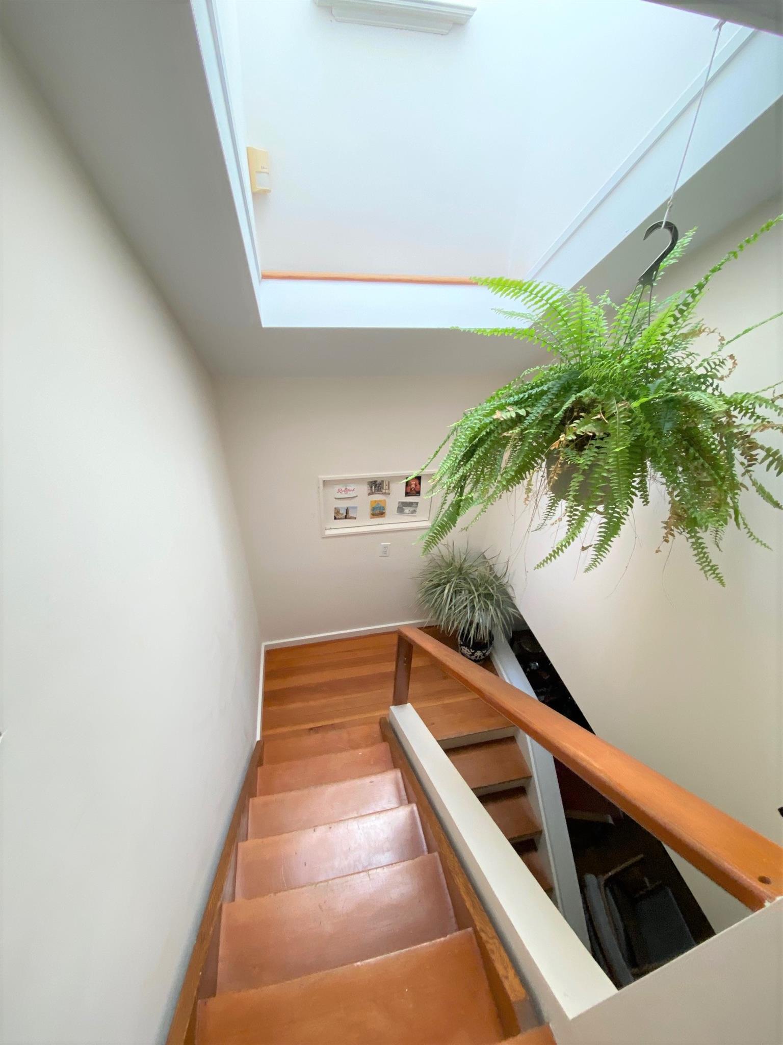 34.5 Lee St, Harvard Square