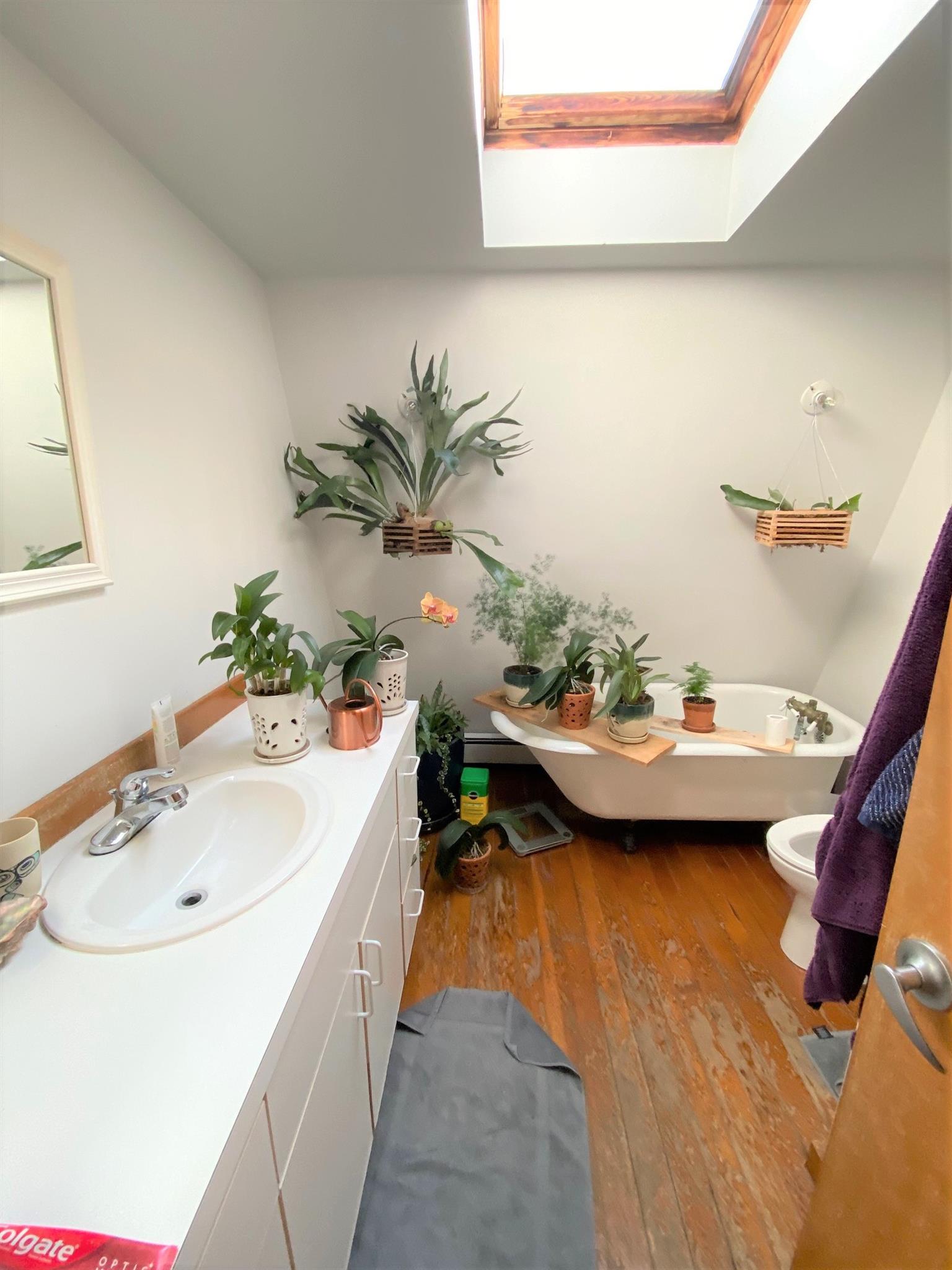 34.5 Lee St, Harvard Square