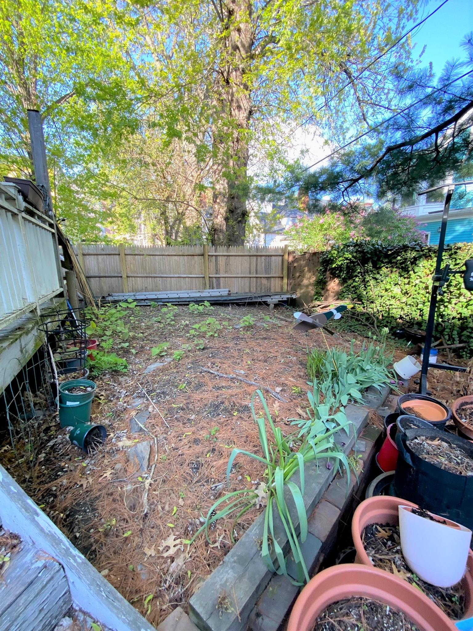 34.5 Lee St, Harvard Square