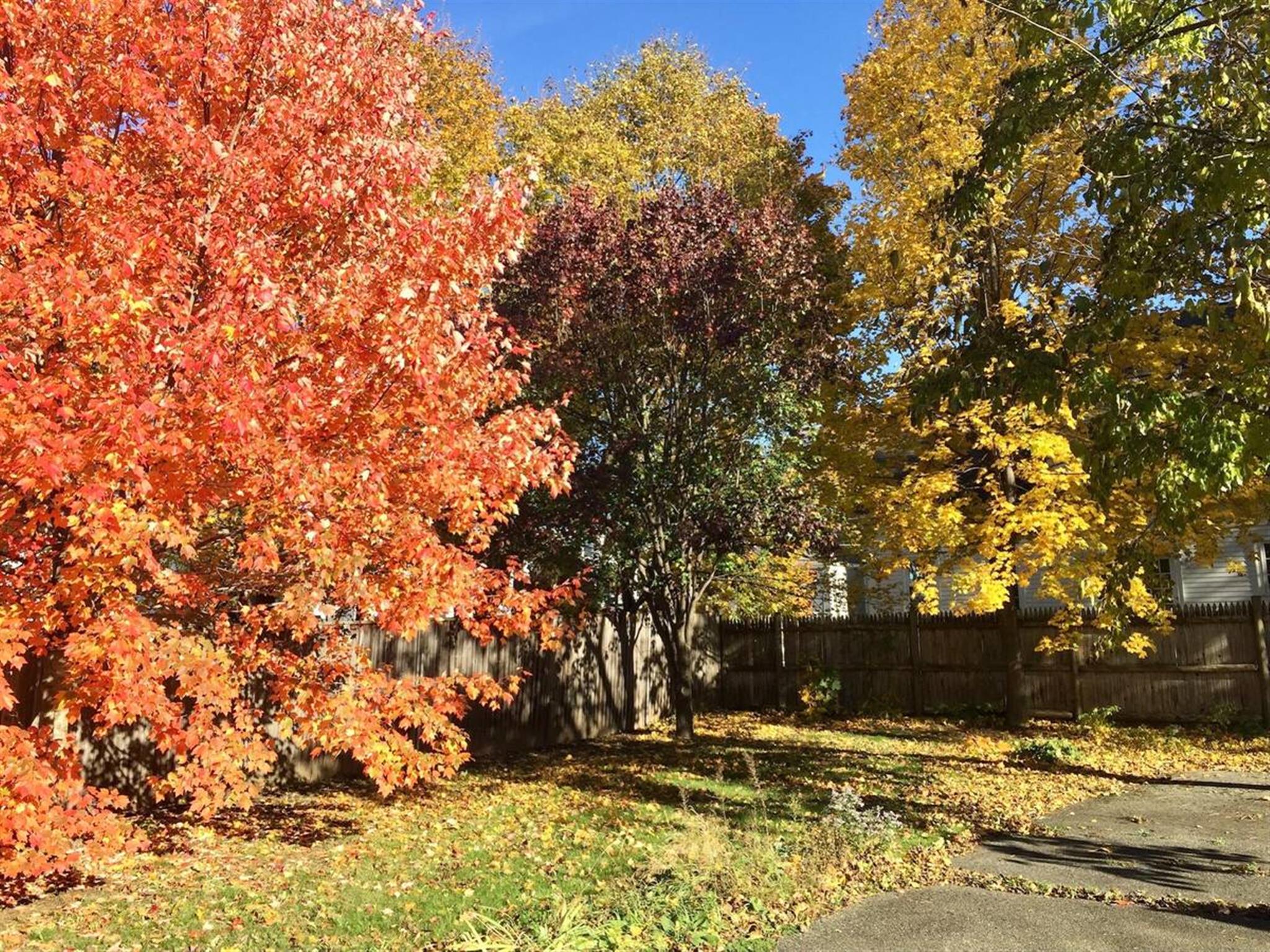 18 Maple Ave, Medford