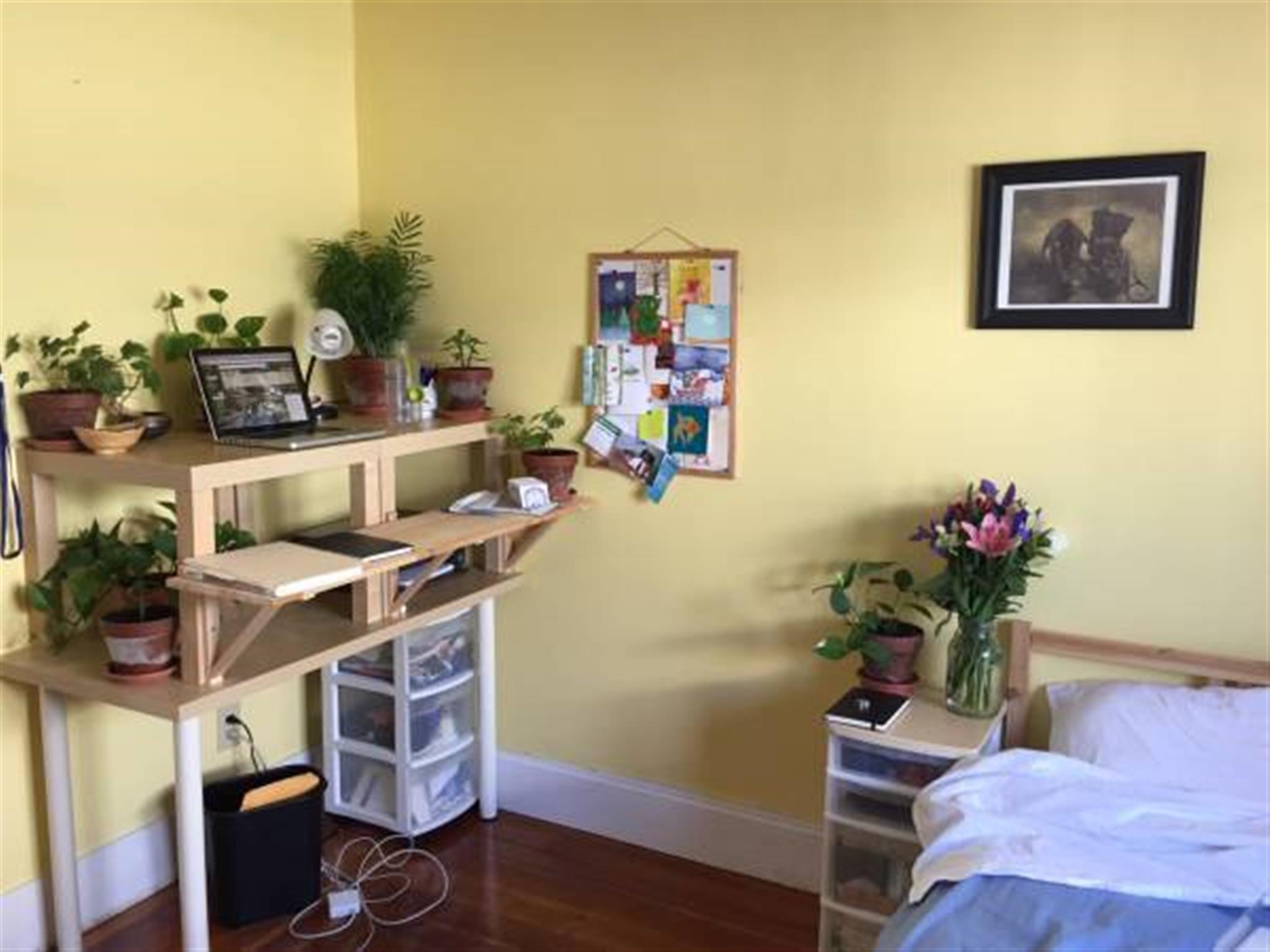 18 Maple Ave, Medford