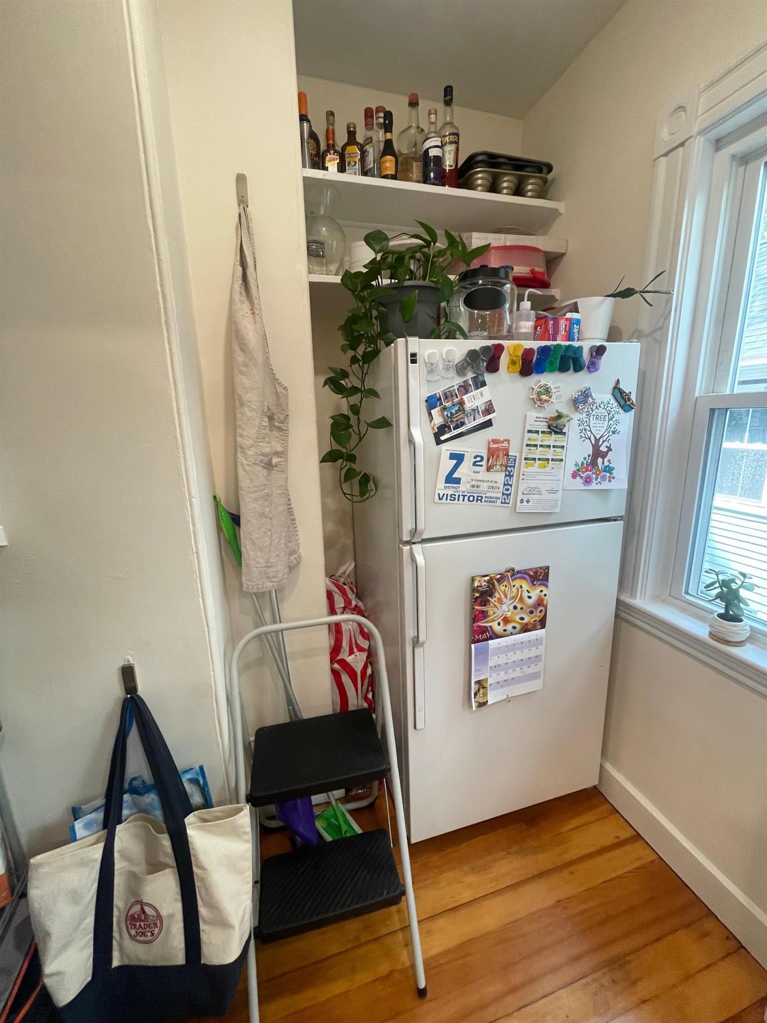 10 Chandler St, Davis Square