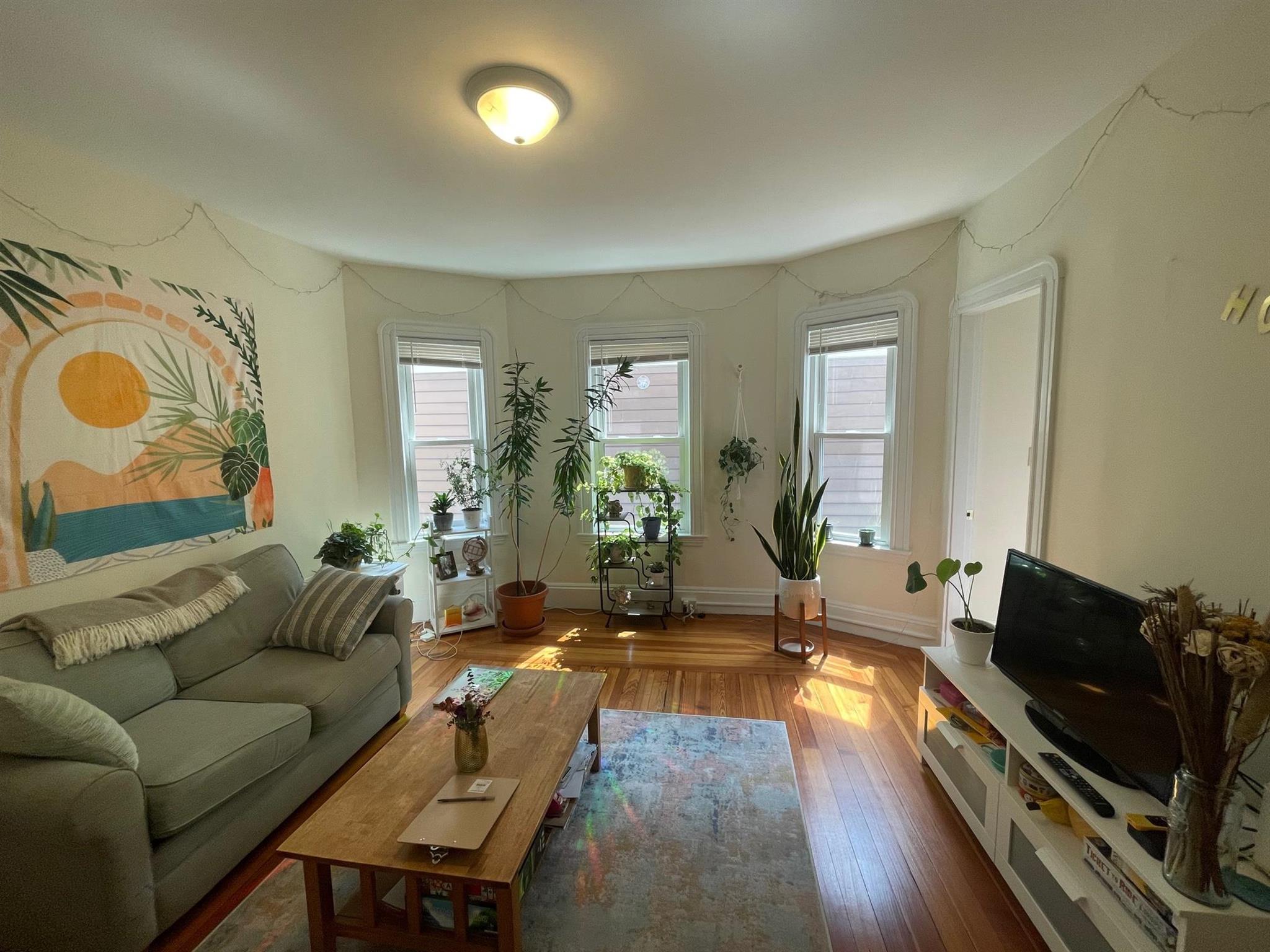 10 Chandler St, Davis Square