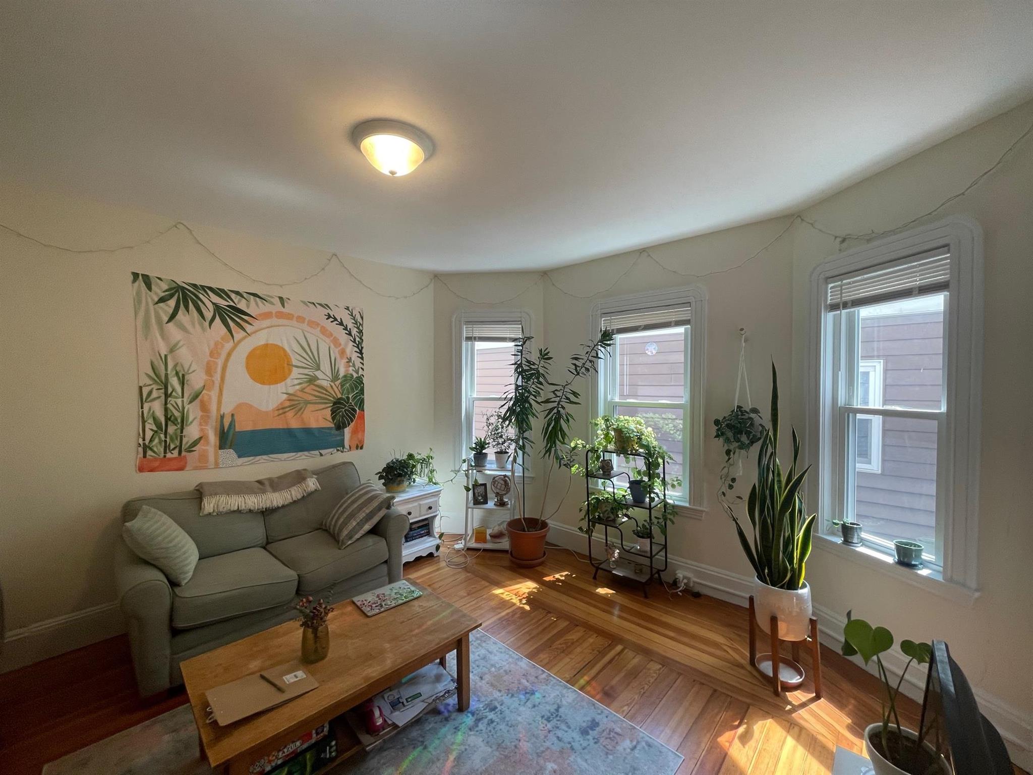 10 Chandler St, Davis Square