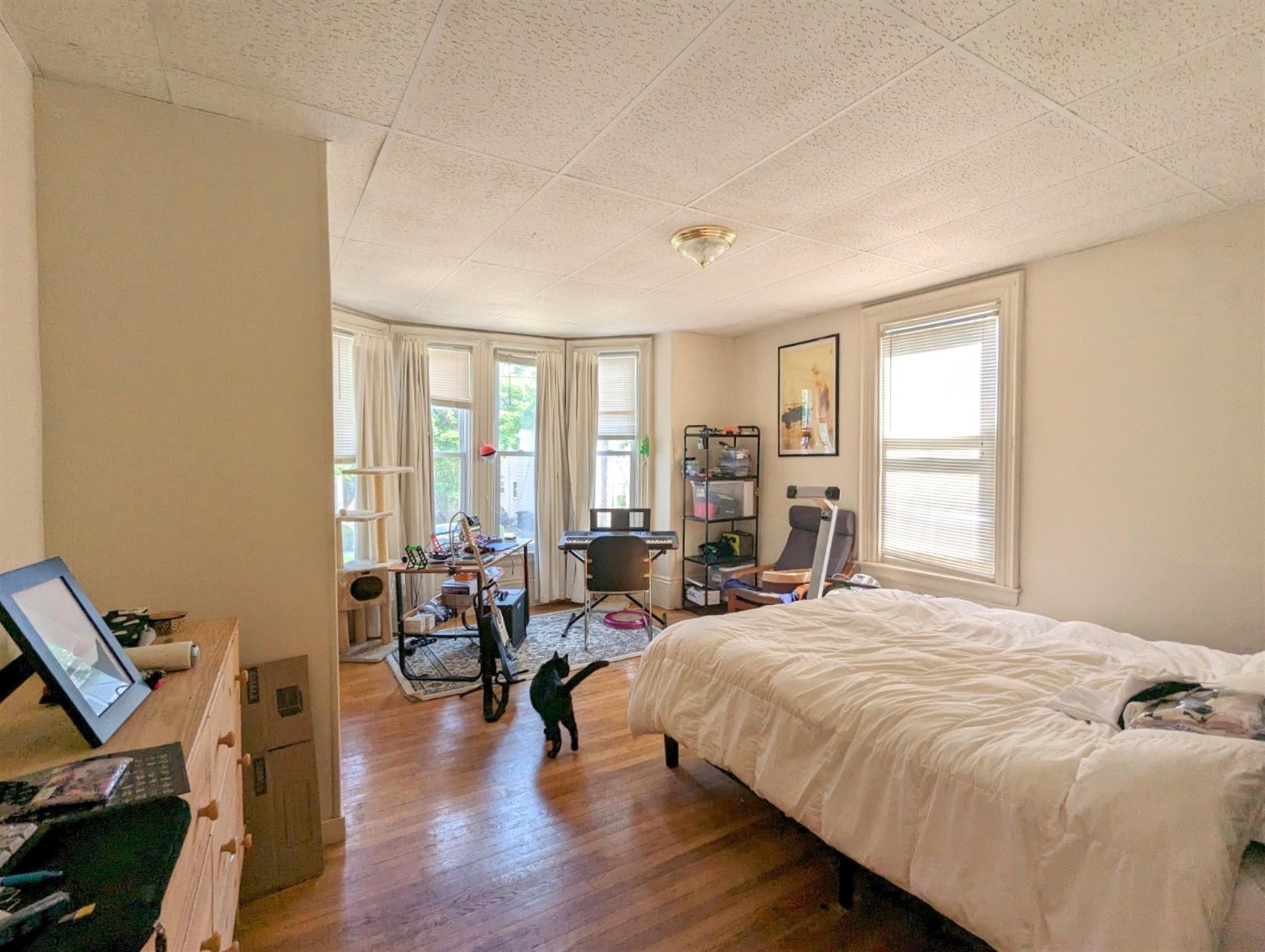 19 Cameron Ave, Davis Square