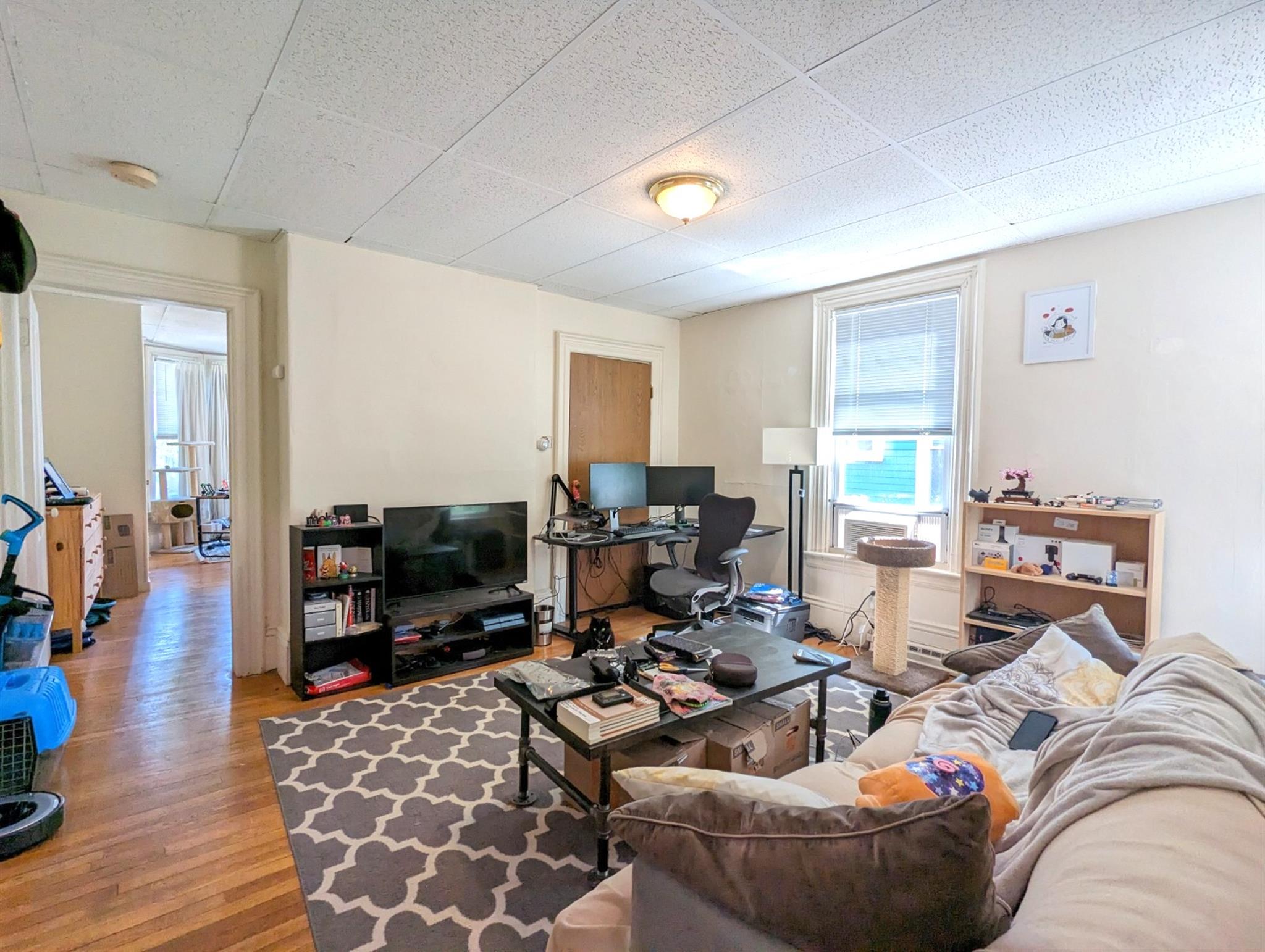 19 Cameron Ave, Davis Square