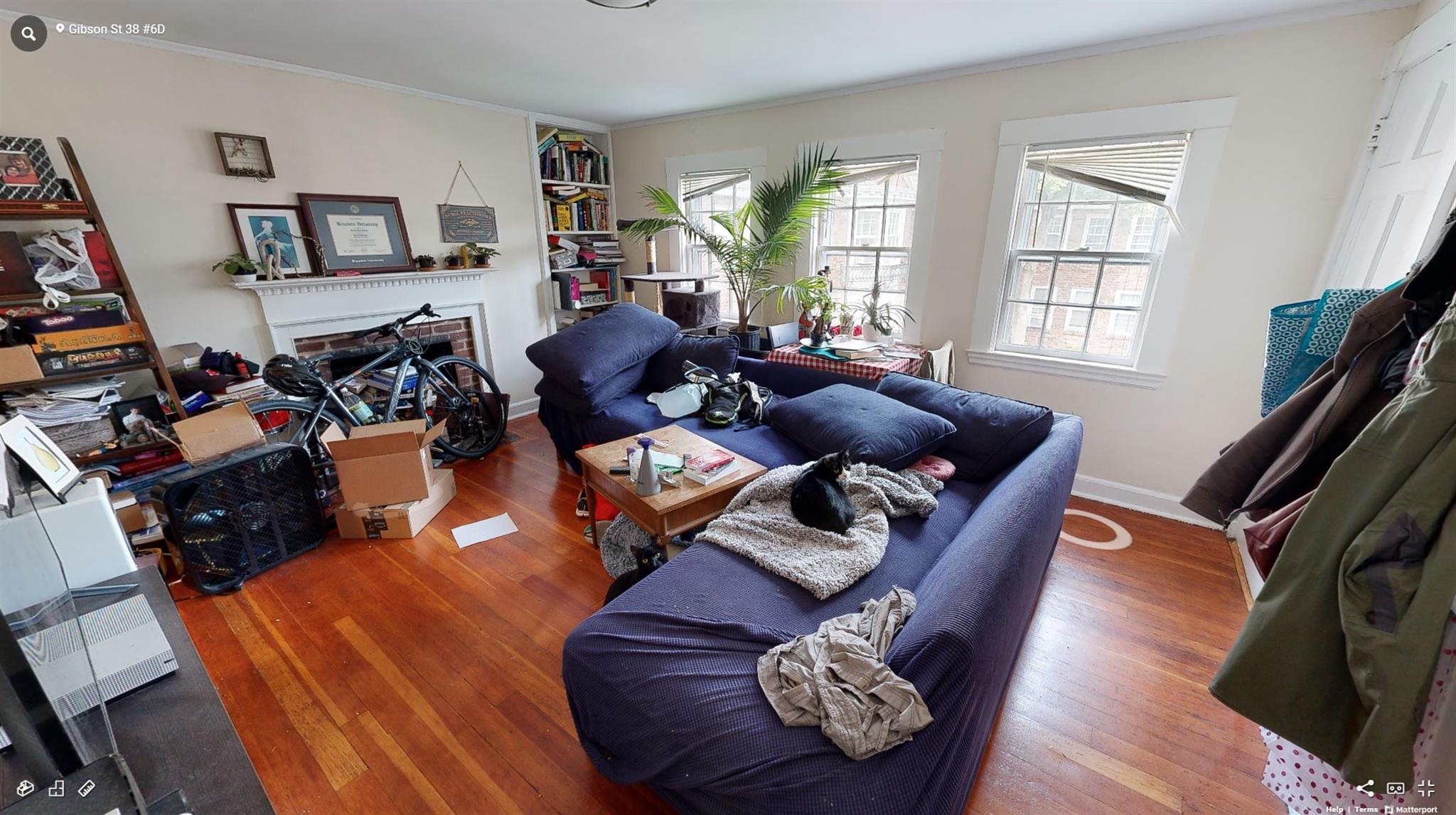 38 Gibson, Harvard Square