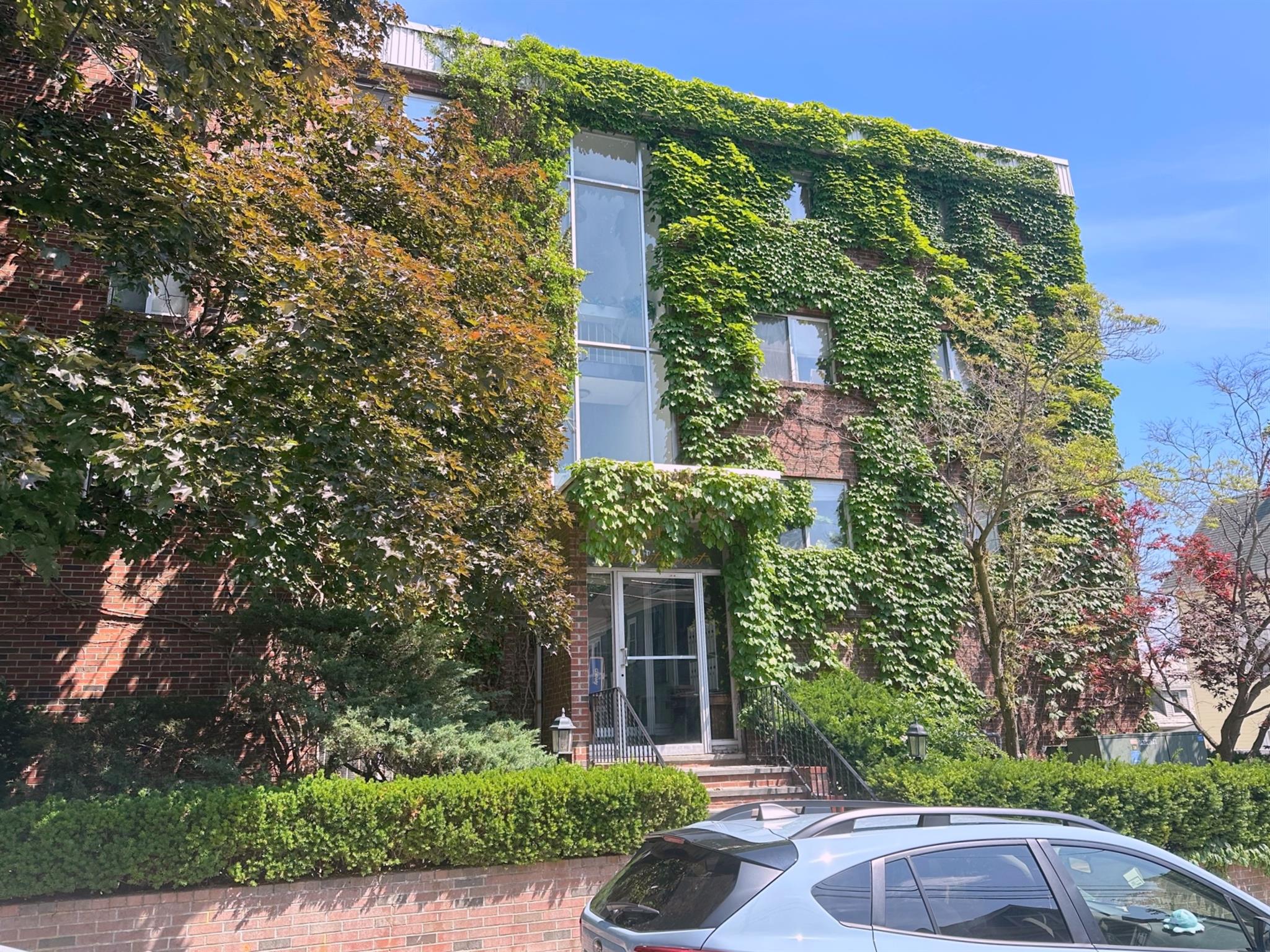 41 Belmont St, Spring Hill