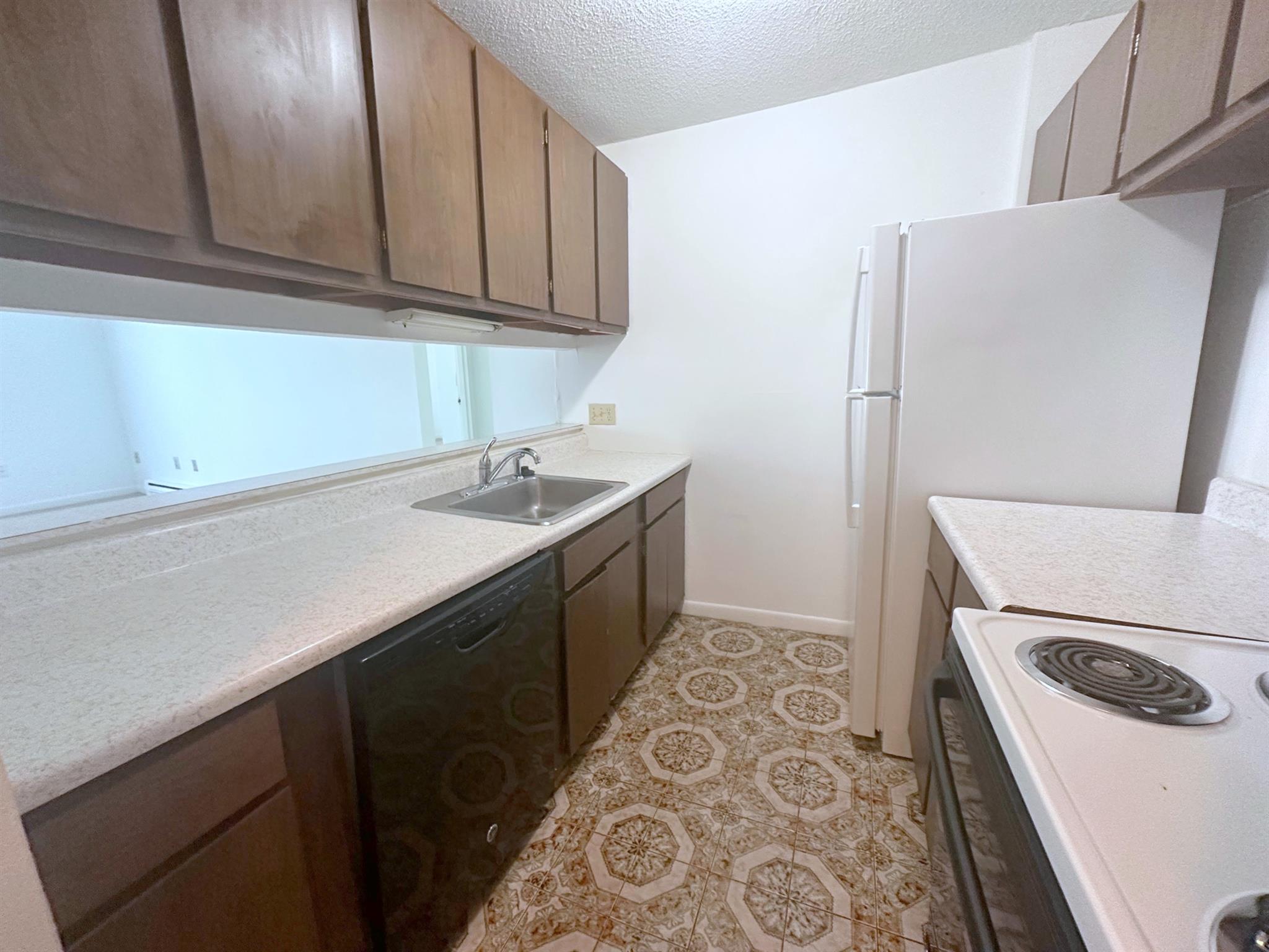 41 Belmont St, Spring Hill