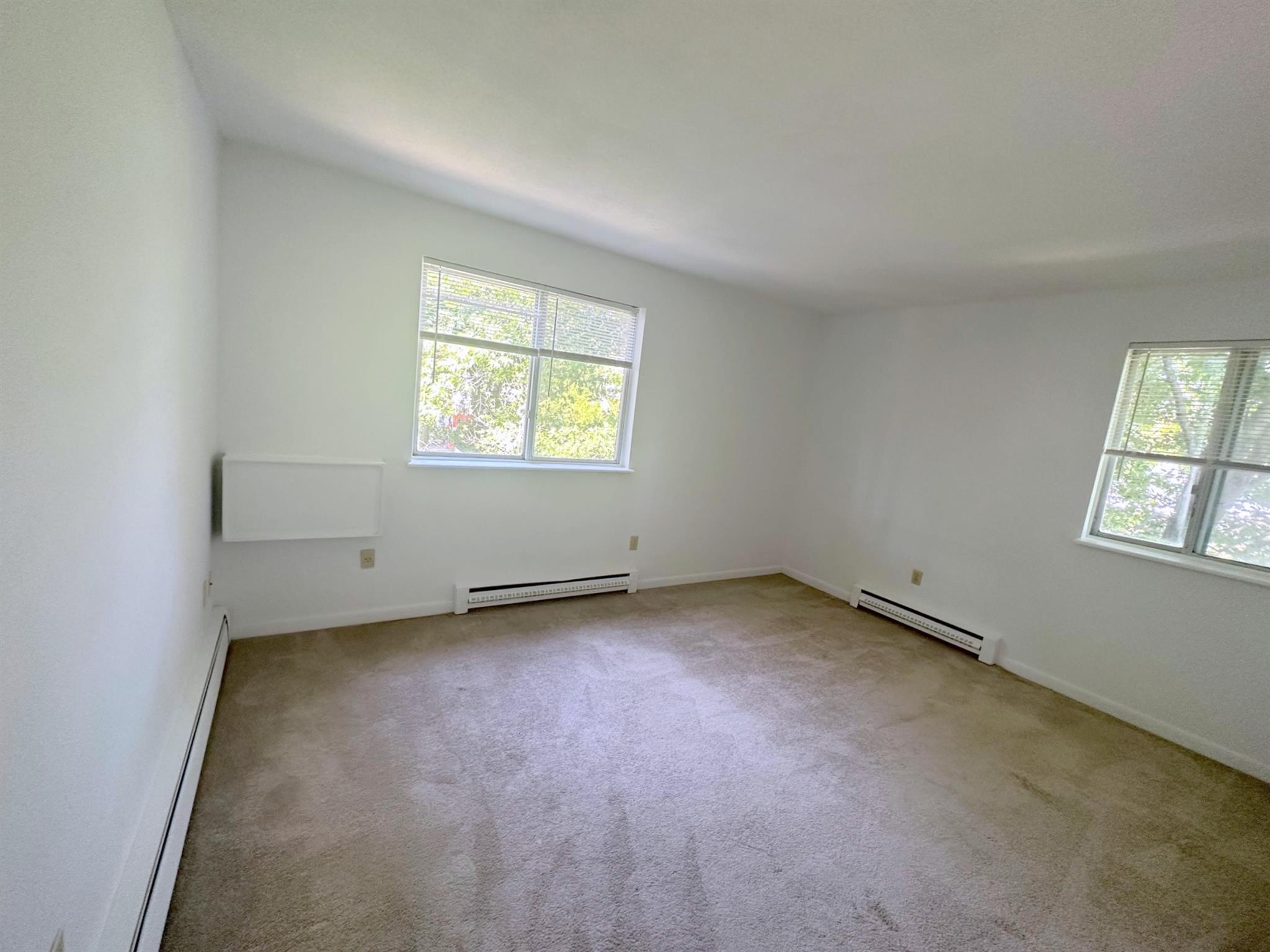 41 Belmont St, Spring Hill