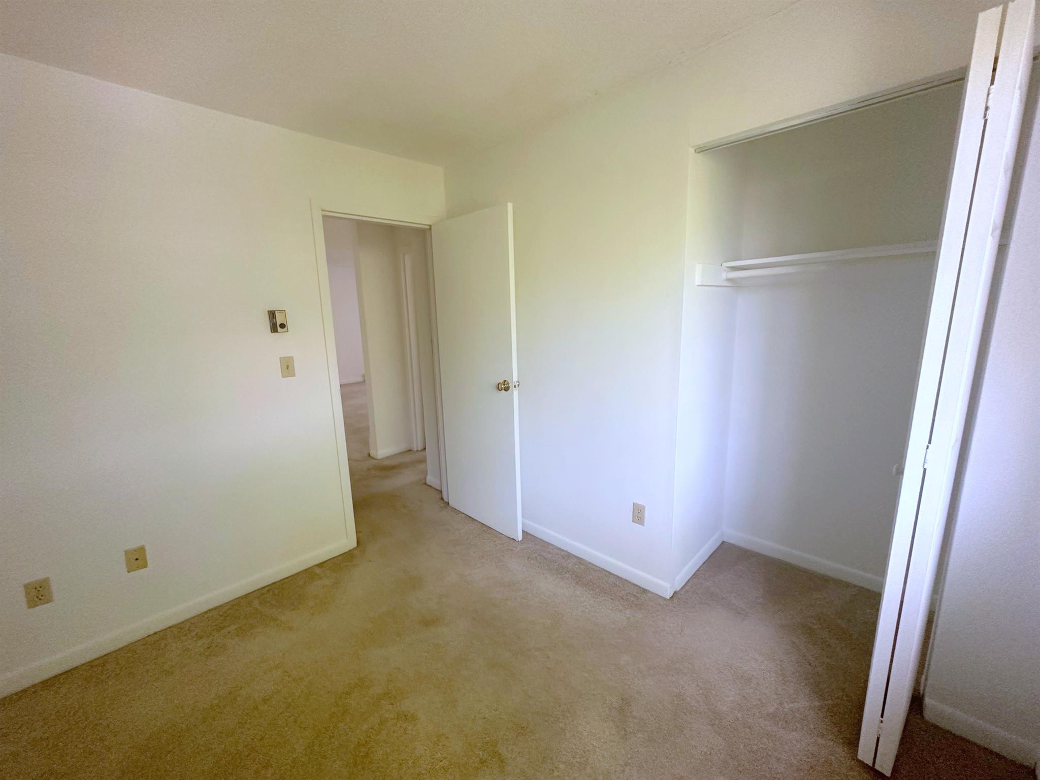 41 Belmont St, Spring Hill