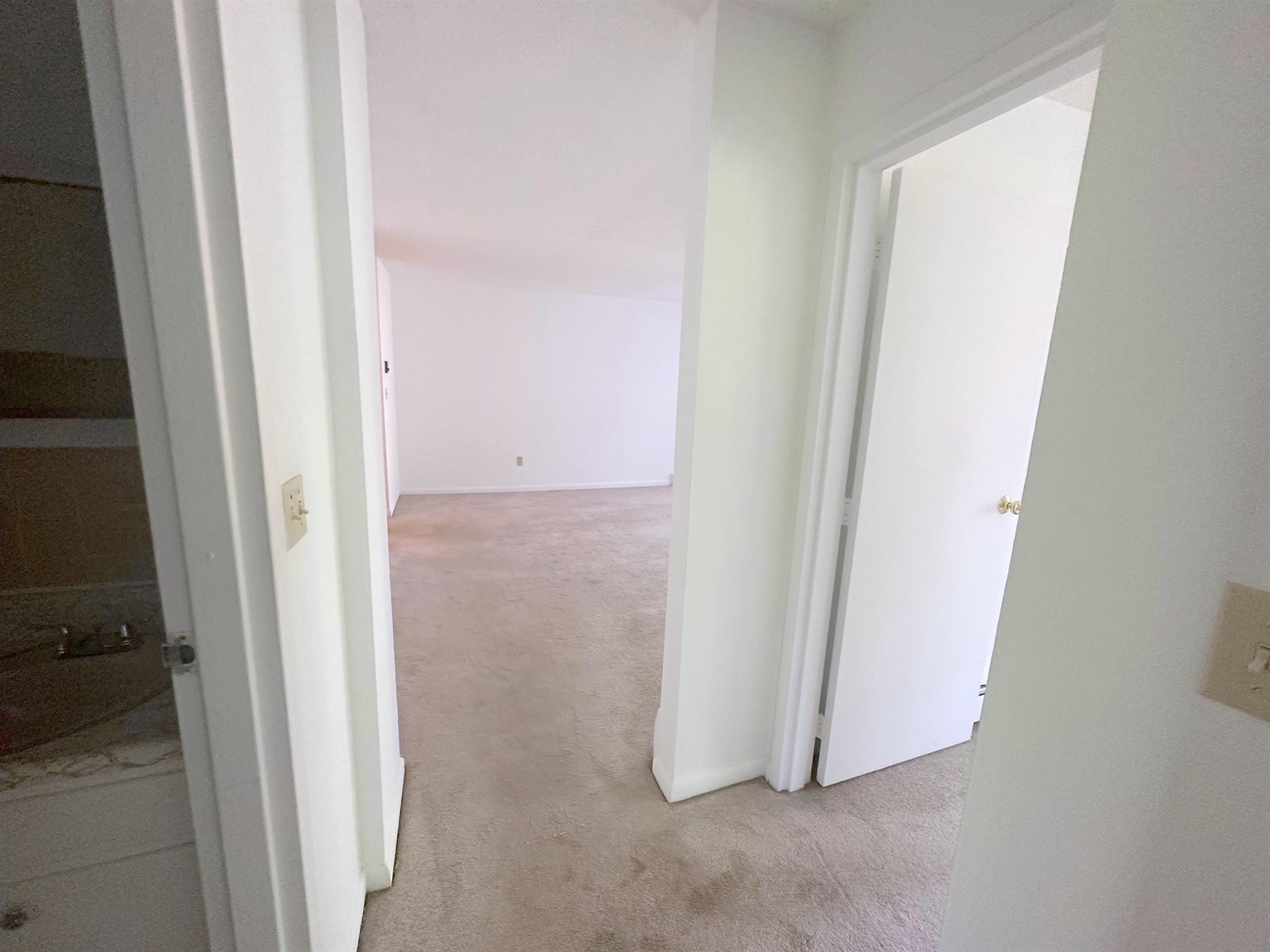 41 Belmont St, Spring Hill