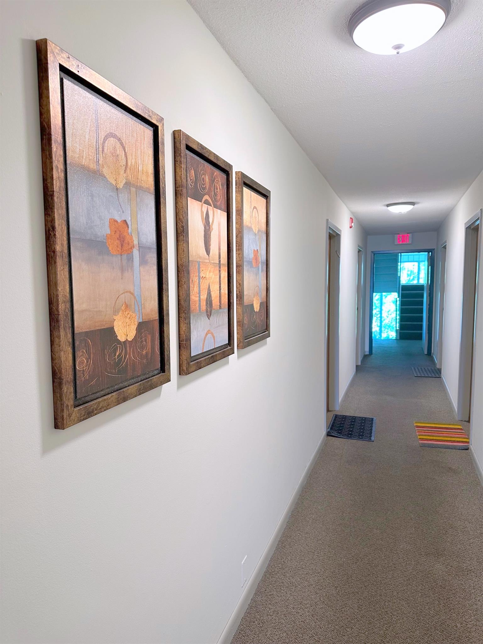 41 Belmont St, Spring Hill