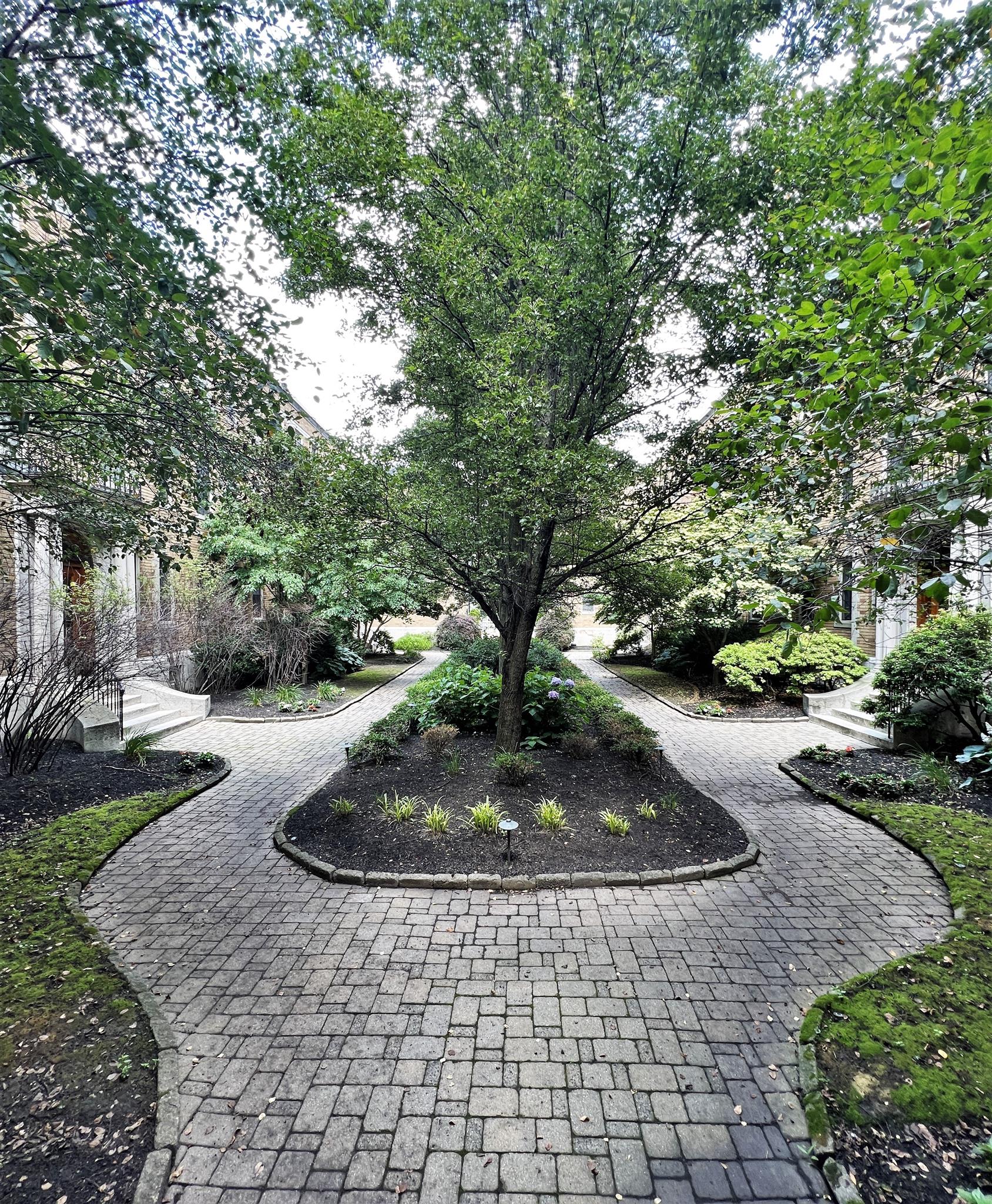 852 Massachusetts Ave, Central Square