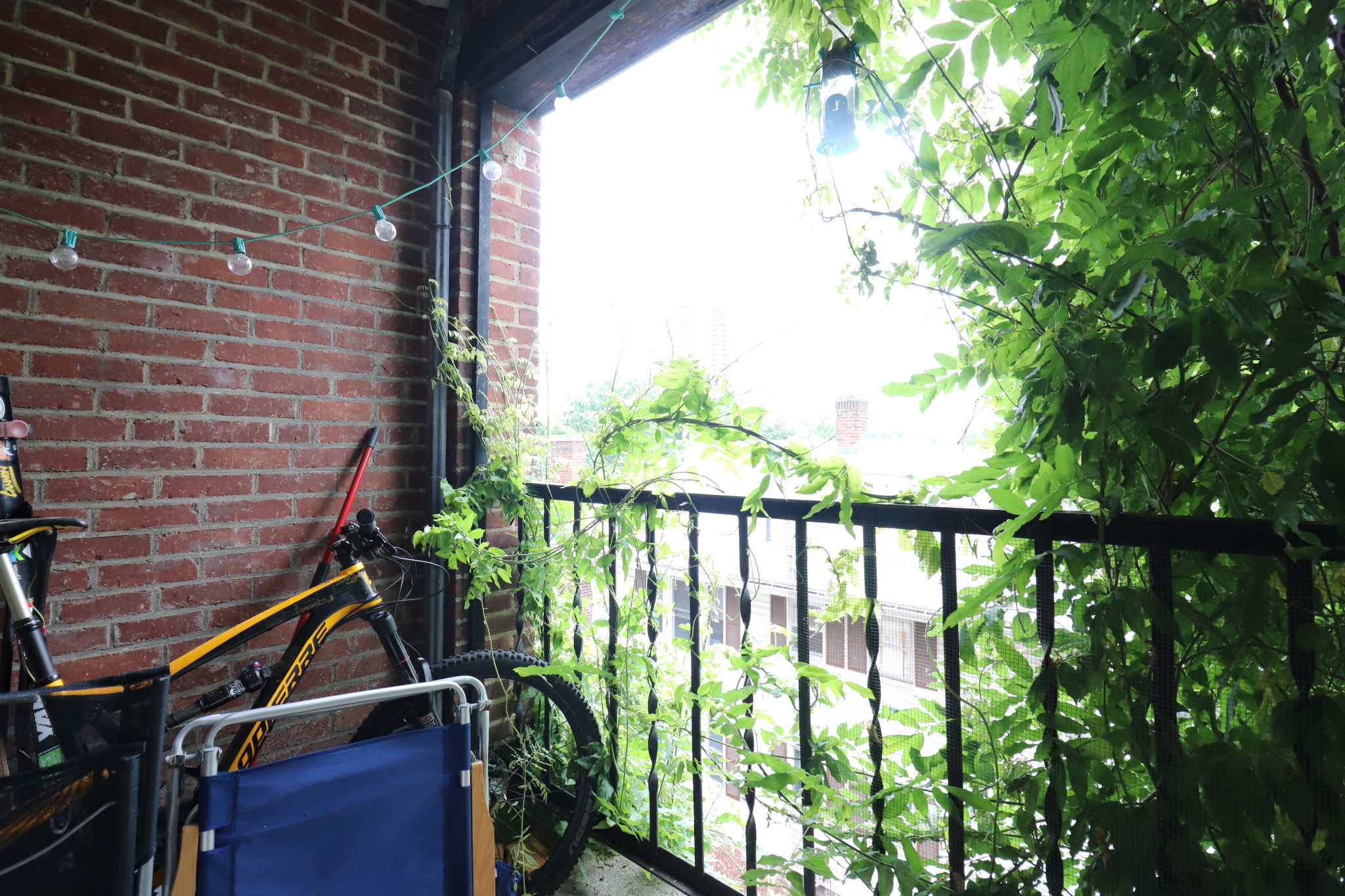 321 Huntington Ave, Jamaica Plain