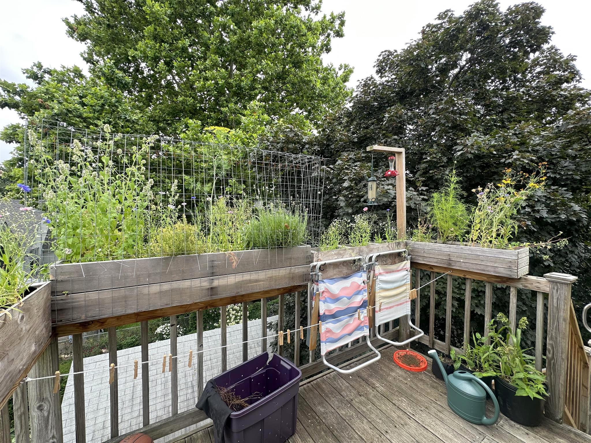 74 Prentiss St, Watertown