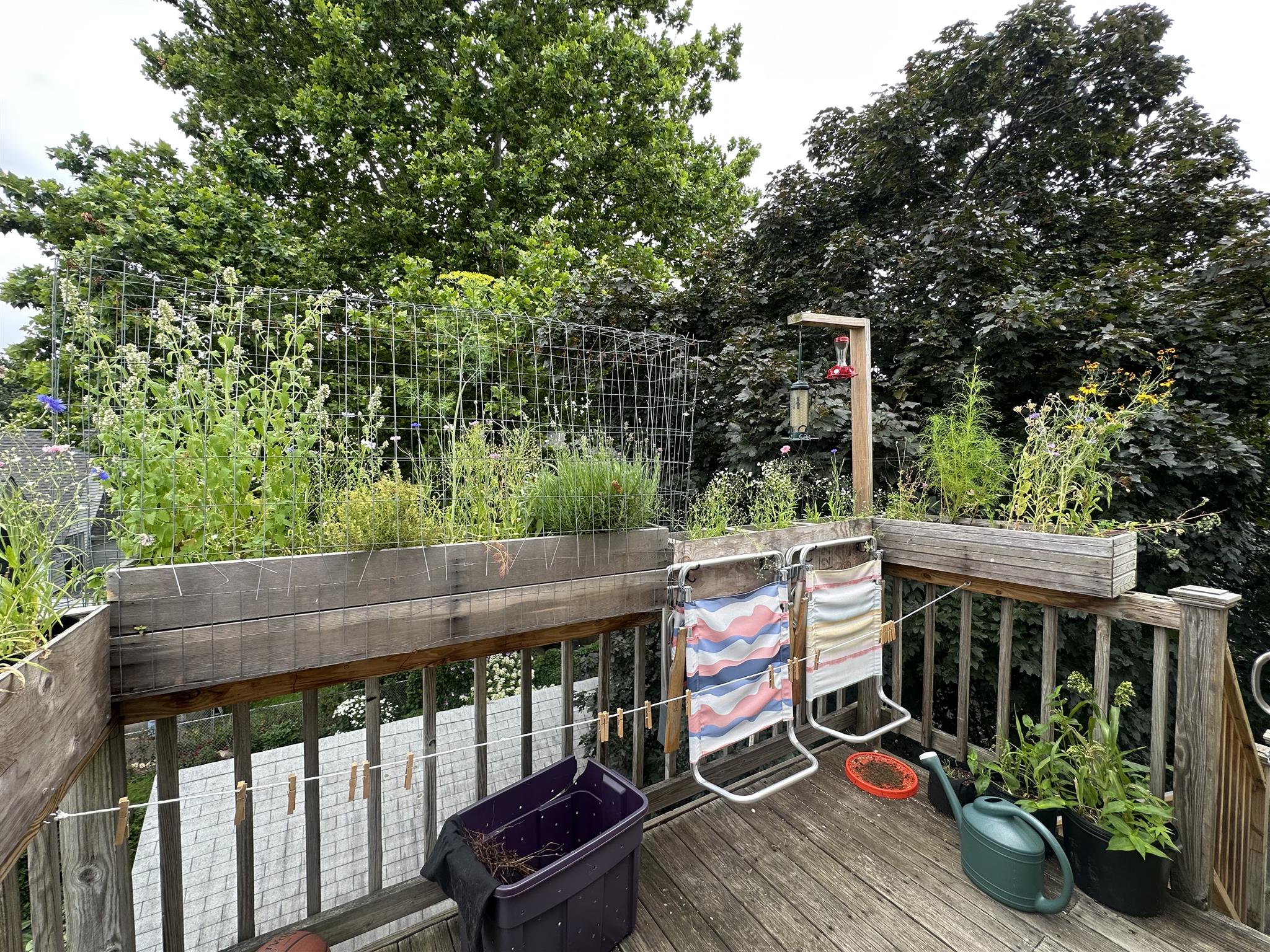 74 Prentiss St, Watertown