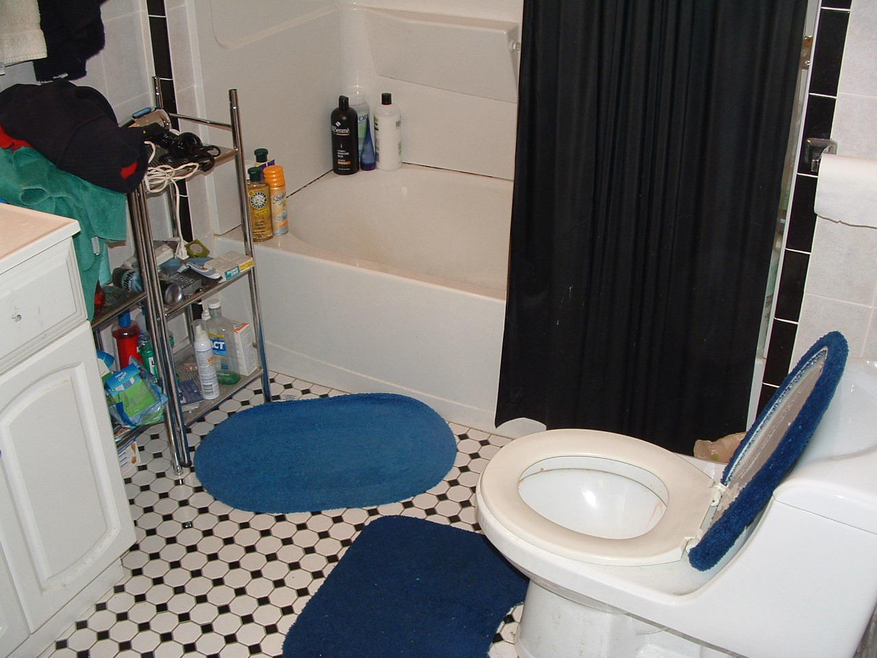 322 Saint Paul St, Coolidge Corner