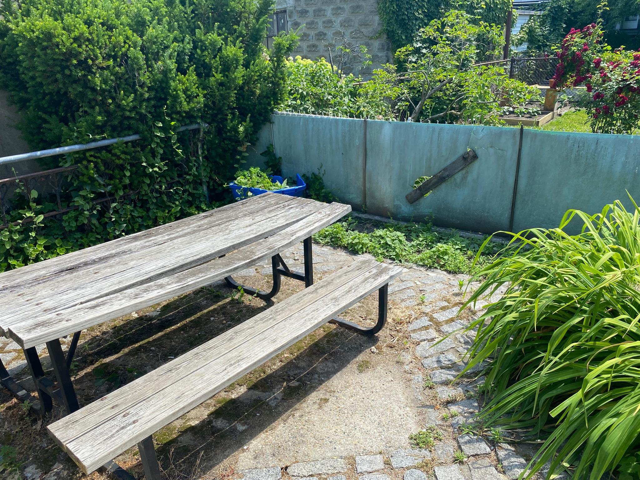 23 Hardwick St, Kendall Square