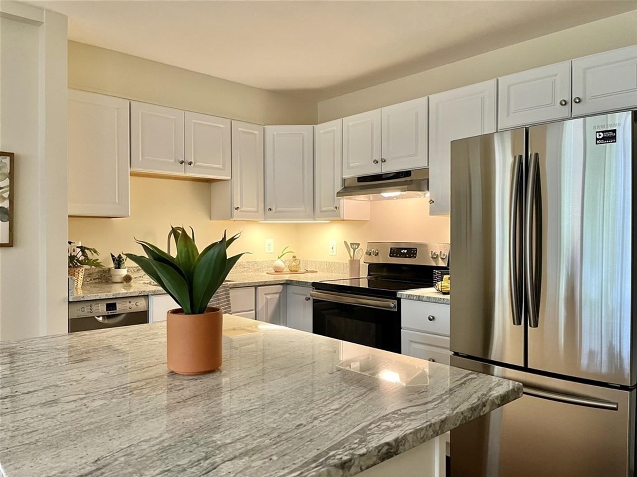 29 Concord Ave, Harvard Square