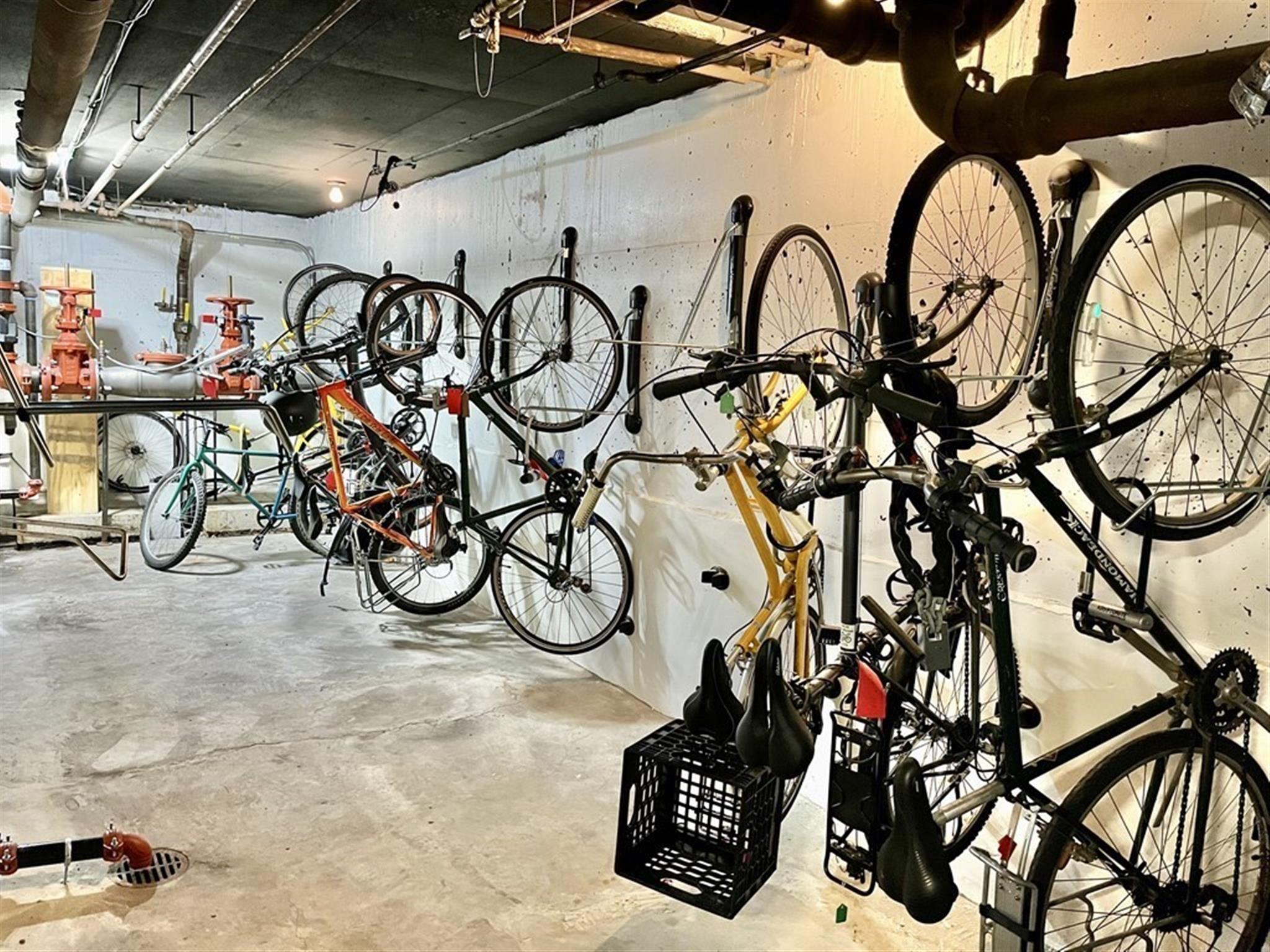 29 Concord Ave, Harvard Square