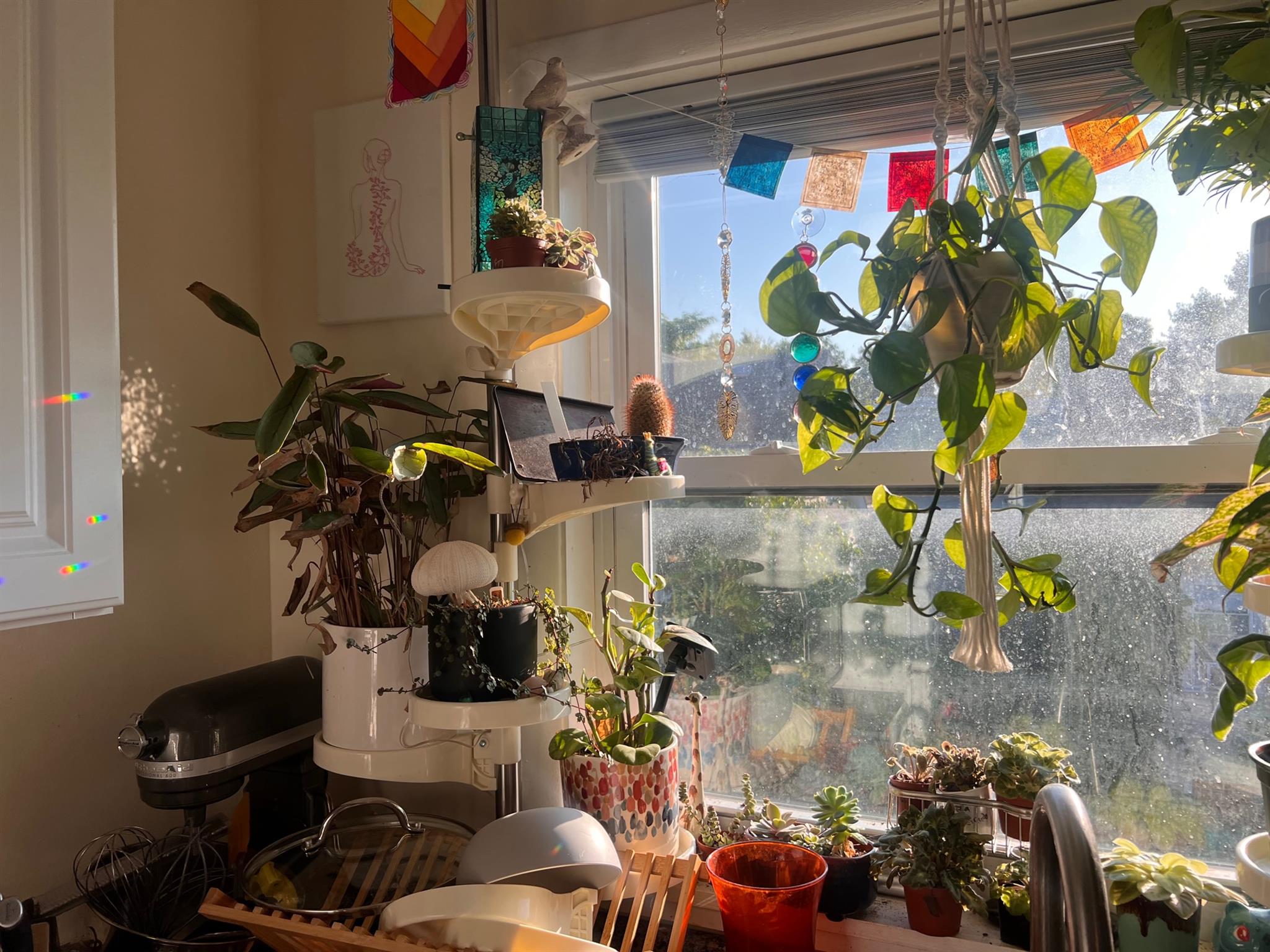 5 Line St, Mid-Cambridge