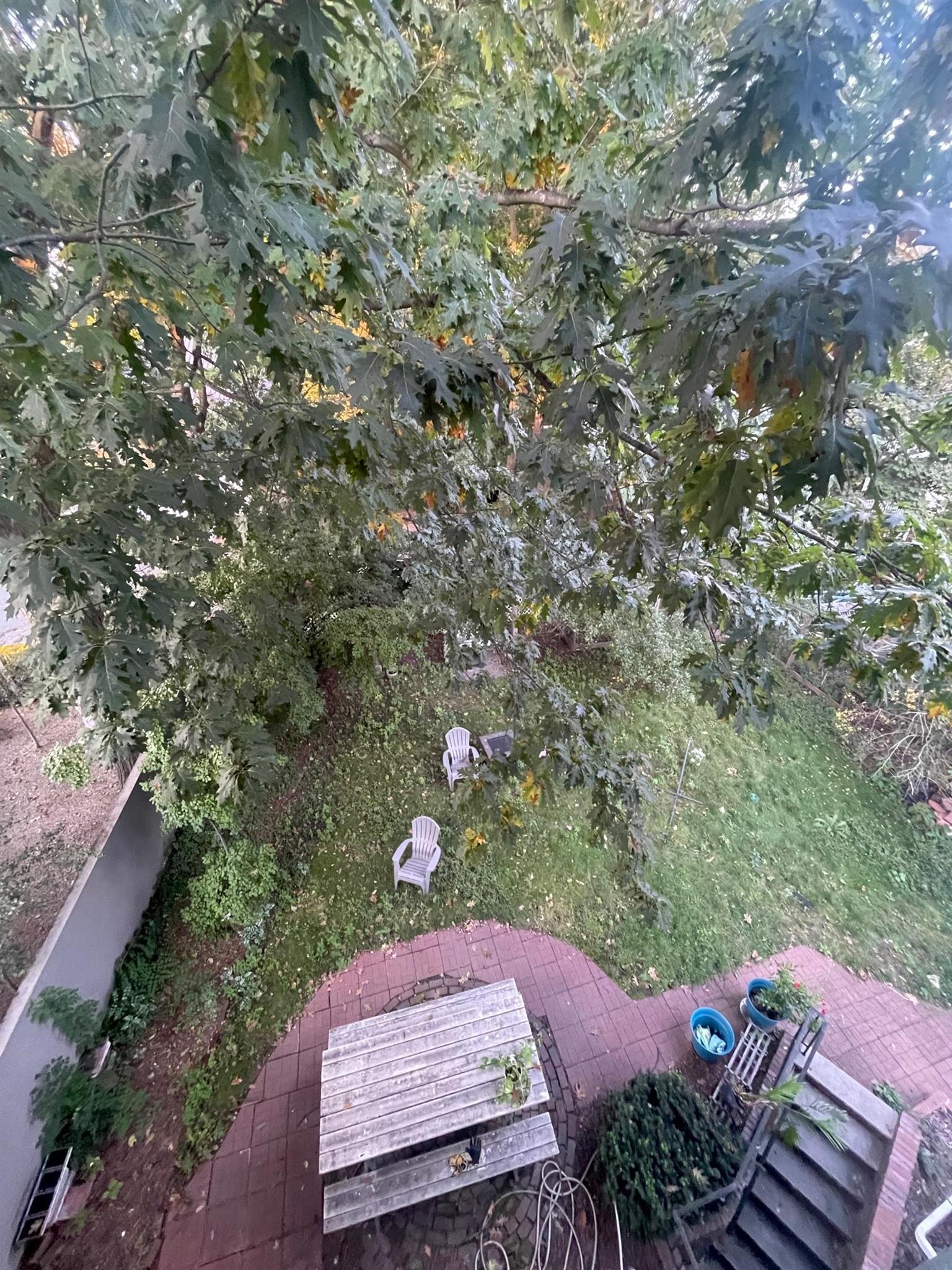 16 Kidder Ave, Davis Square