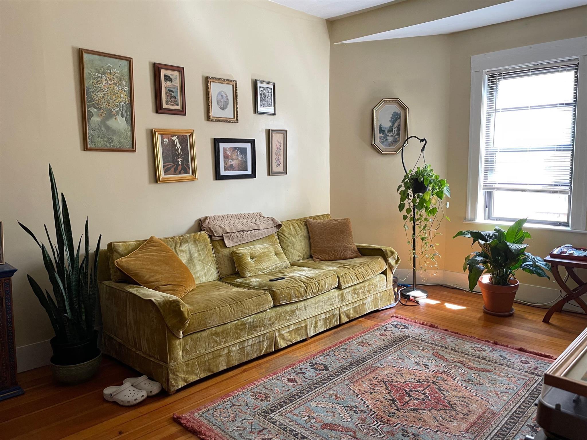 18 Fenwick St, Winter Hill