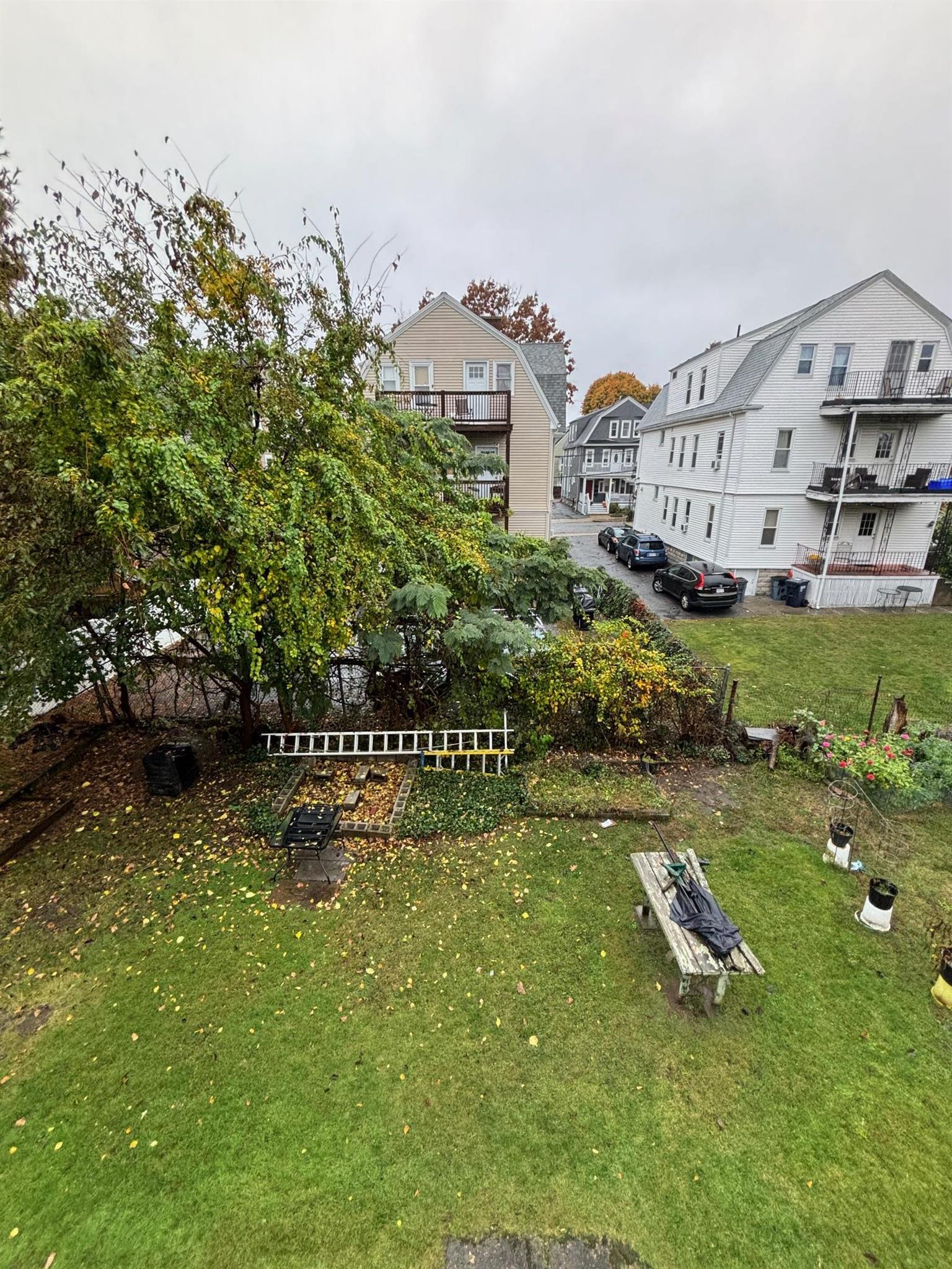 11 Magnolia St, Arlington