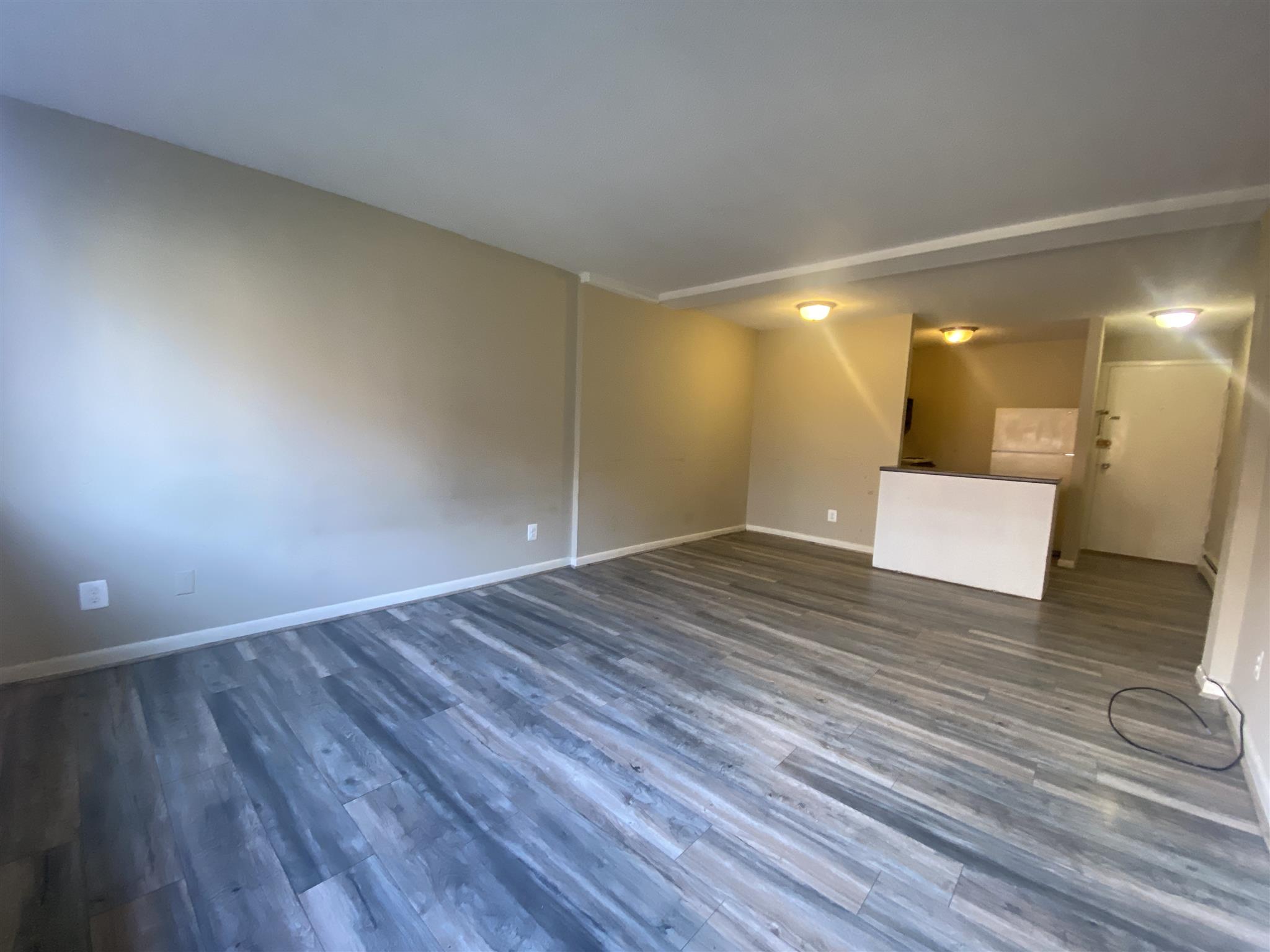 375 Harvard St, Harvard Square