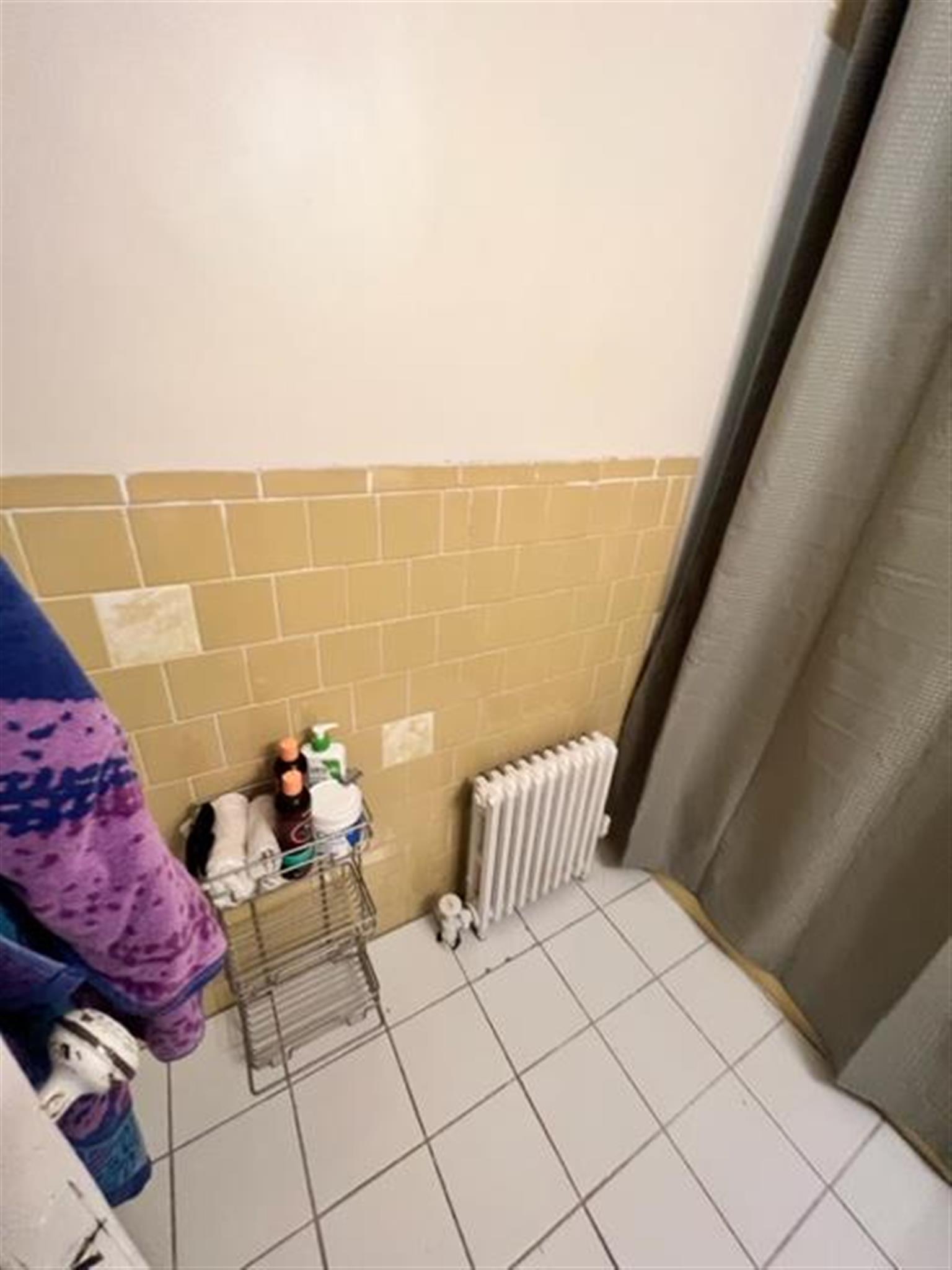 12 Pinkham Rd, Tufts University