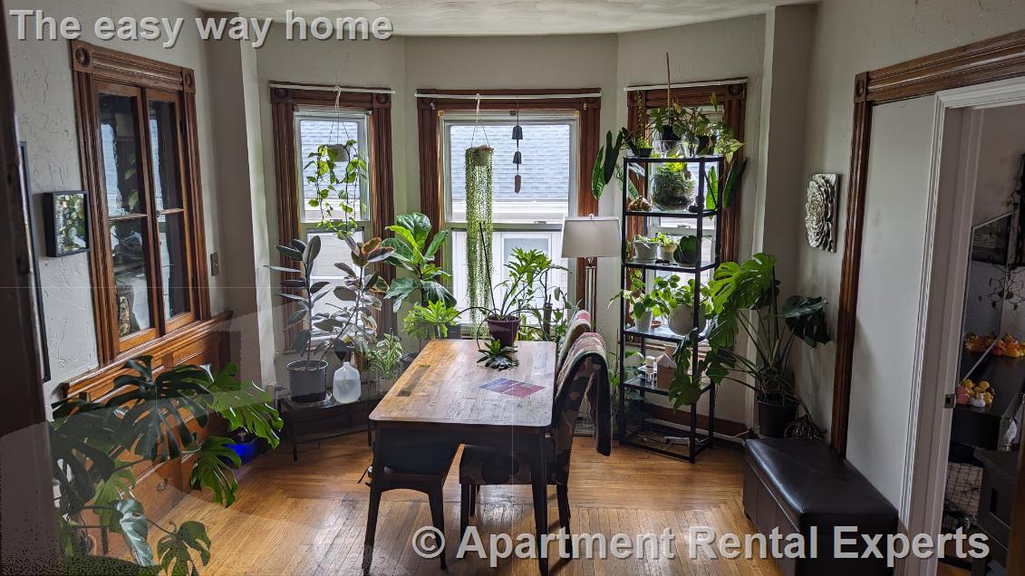 51 Mansfield St, Union Square