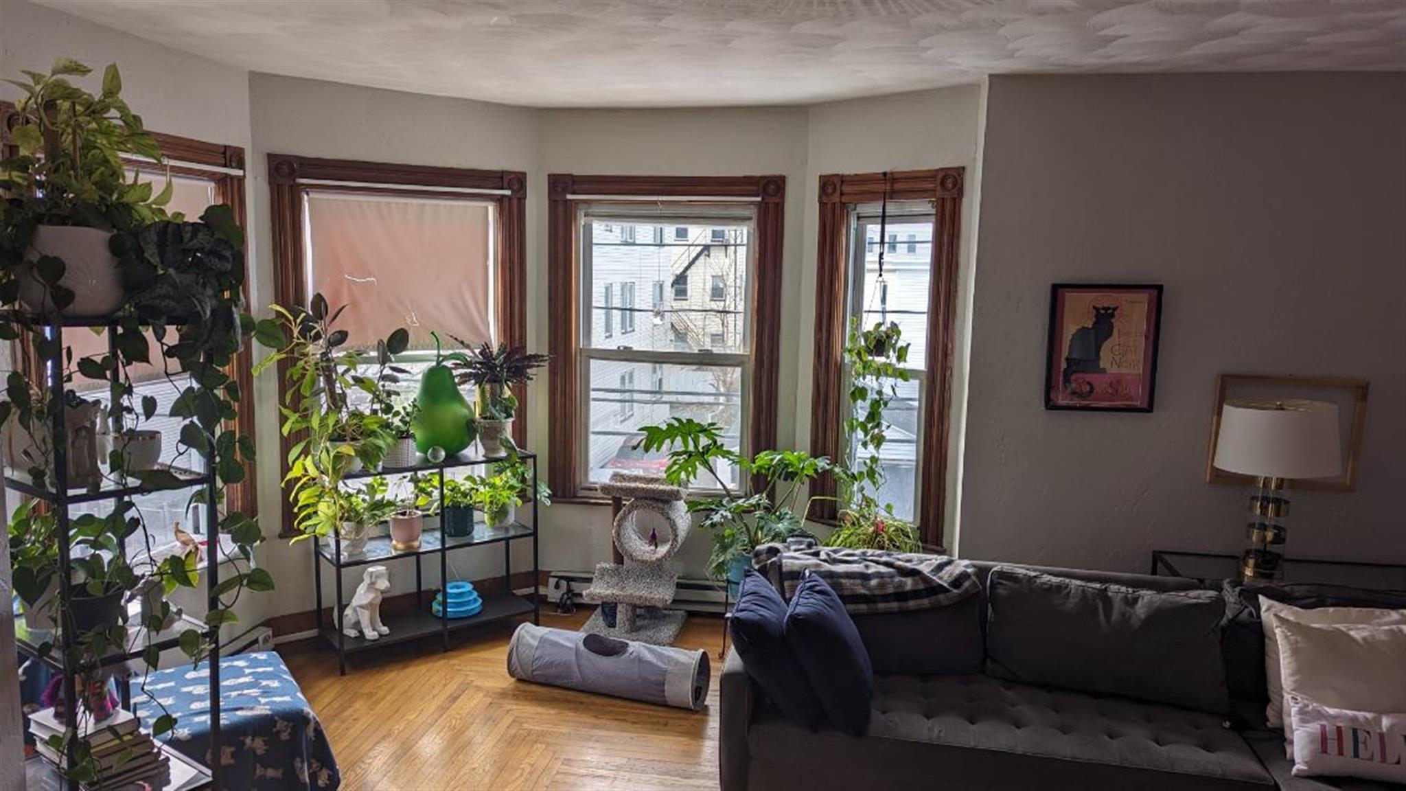 51 Mansfield St, Union Square