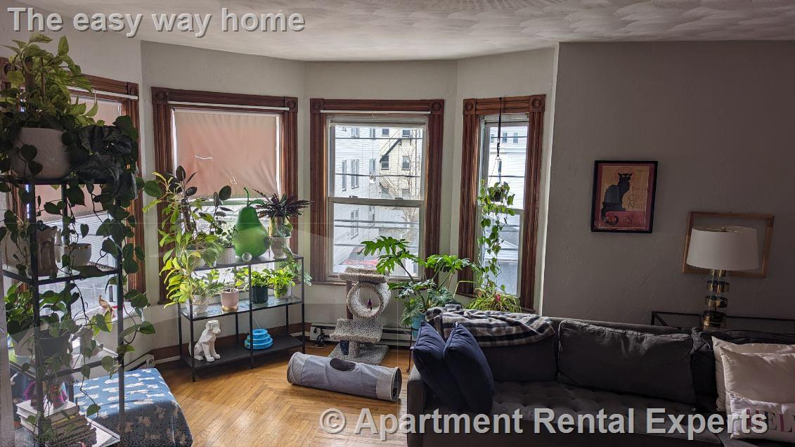 51 Mansfield St, Union Square