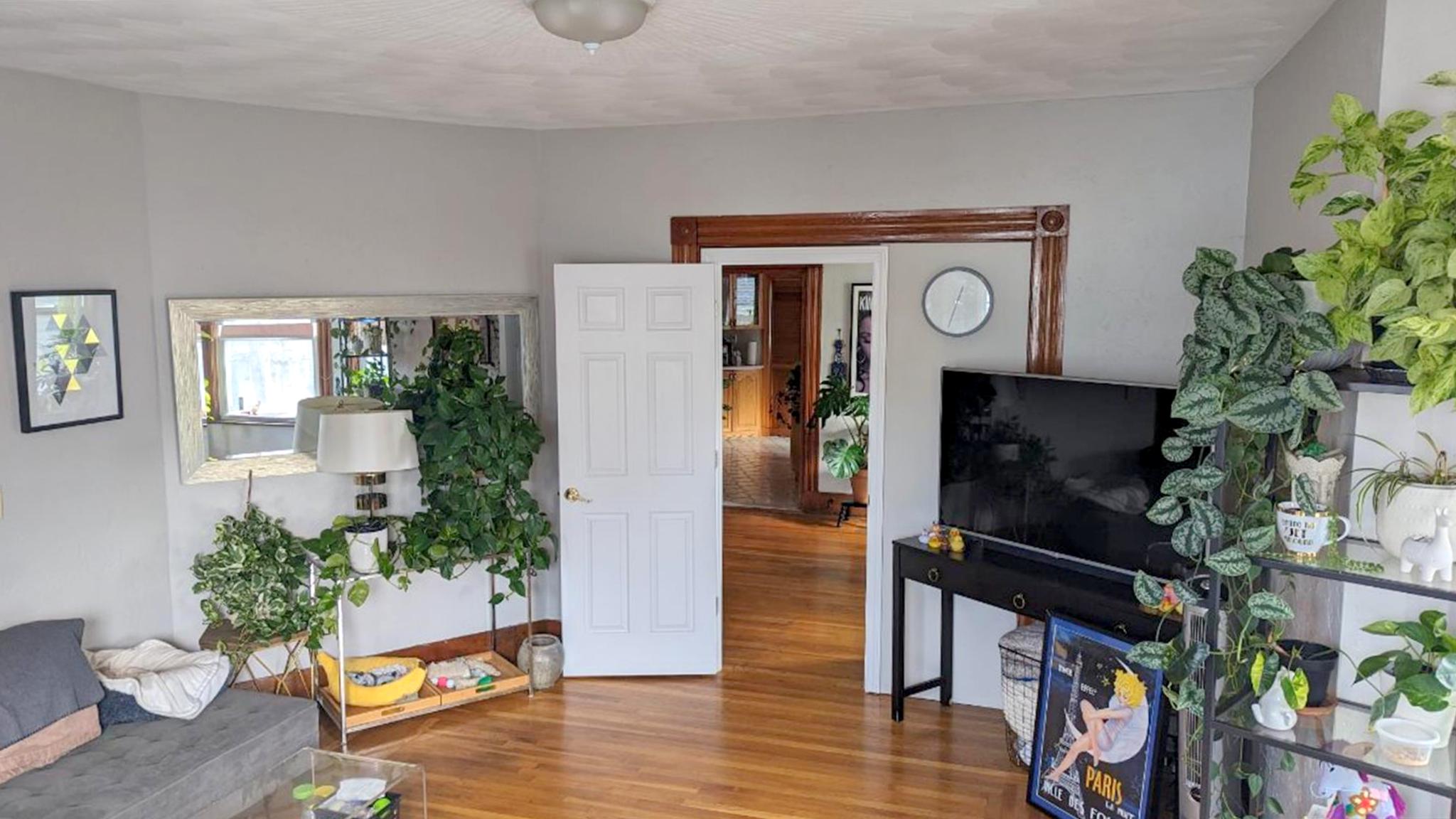 51 Mansfield St, Union Square