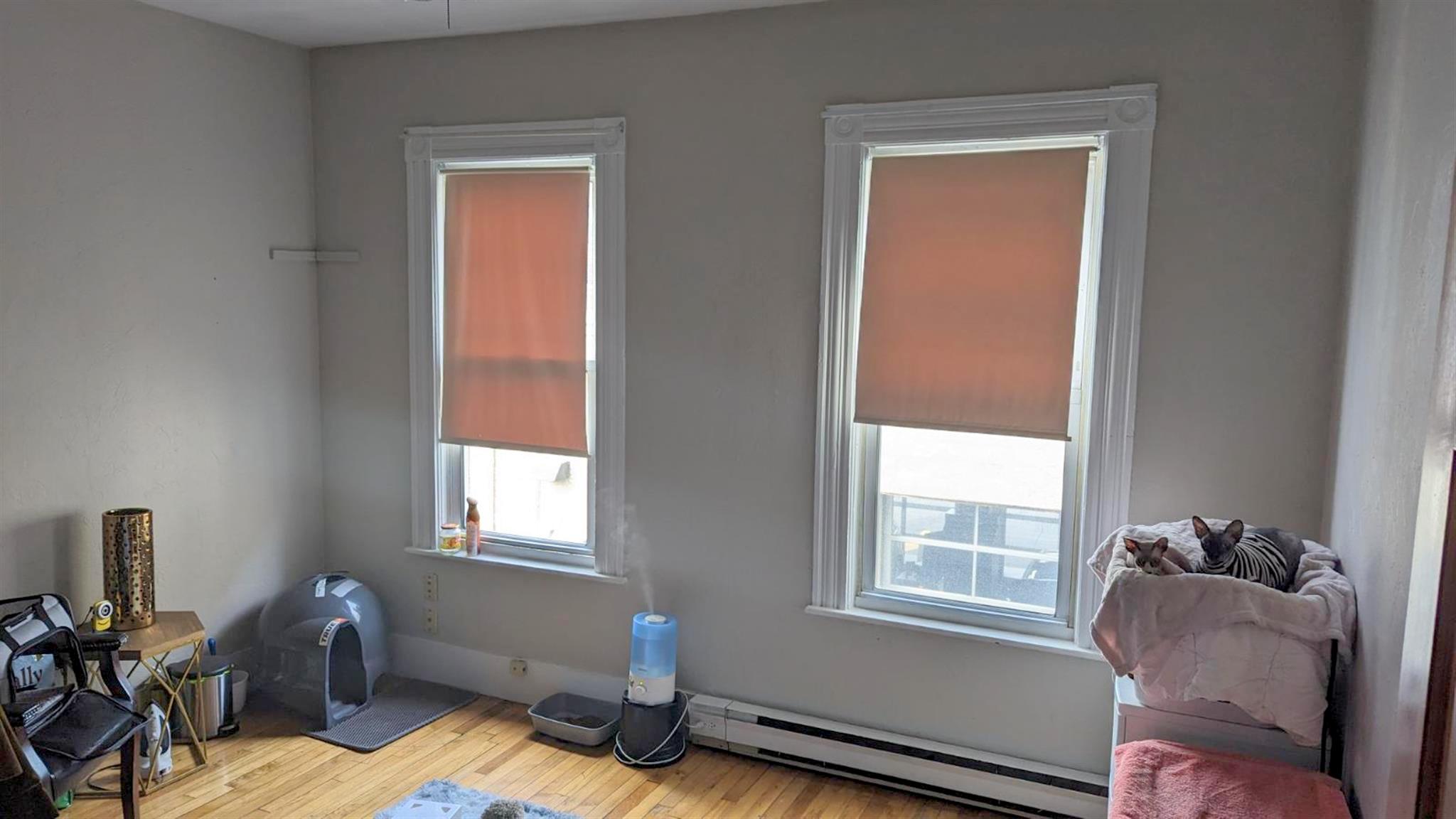 51 Mansfield St, Union Square