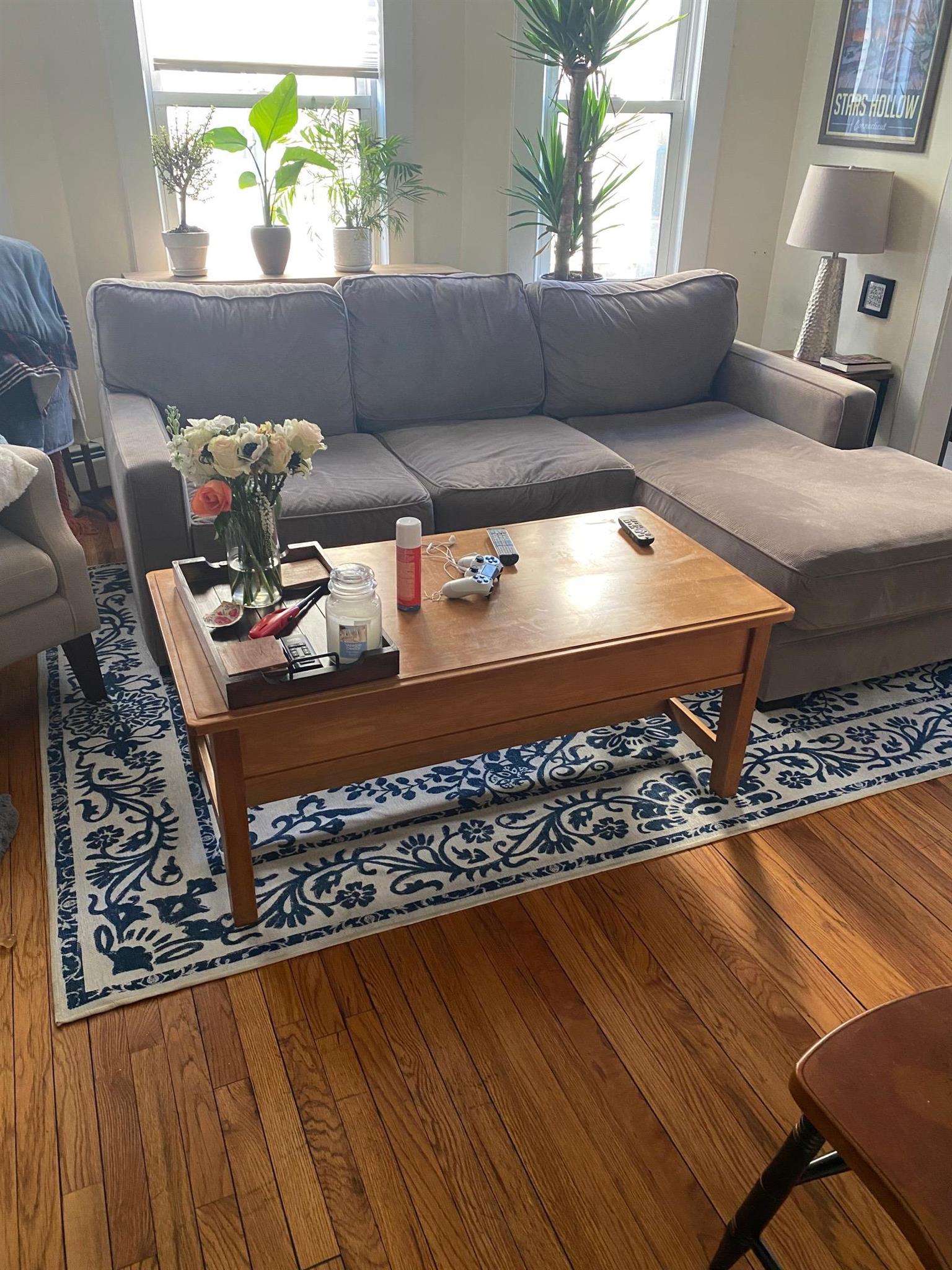 109 Perkins St, East Somerville