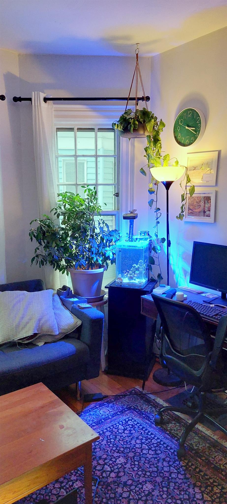 65 Willow Ave, Davis Square